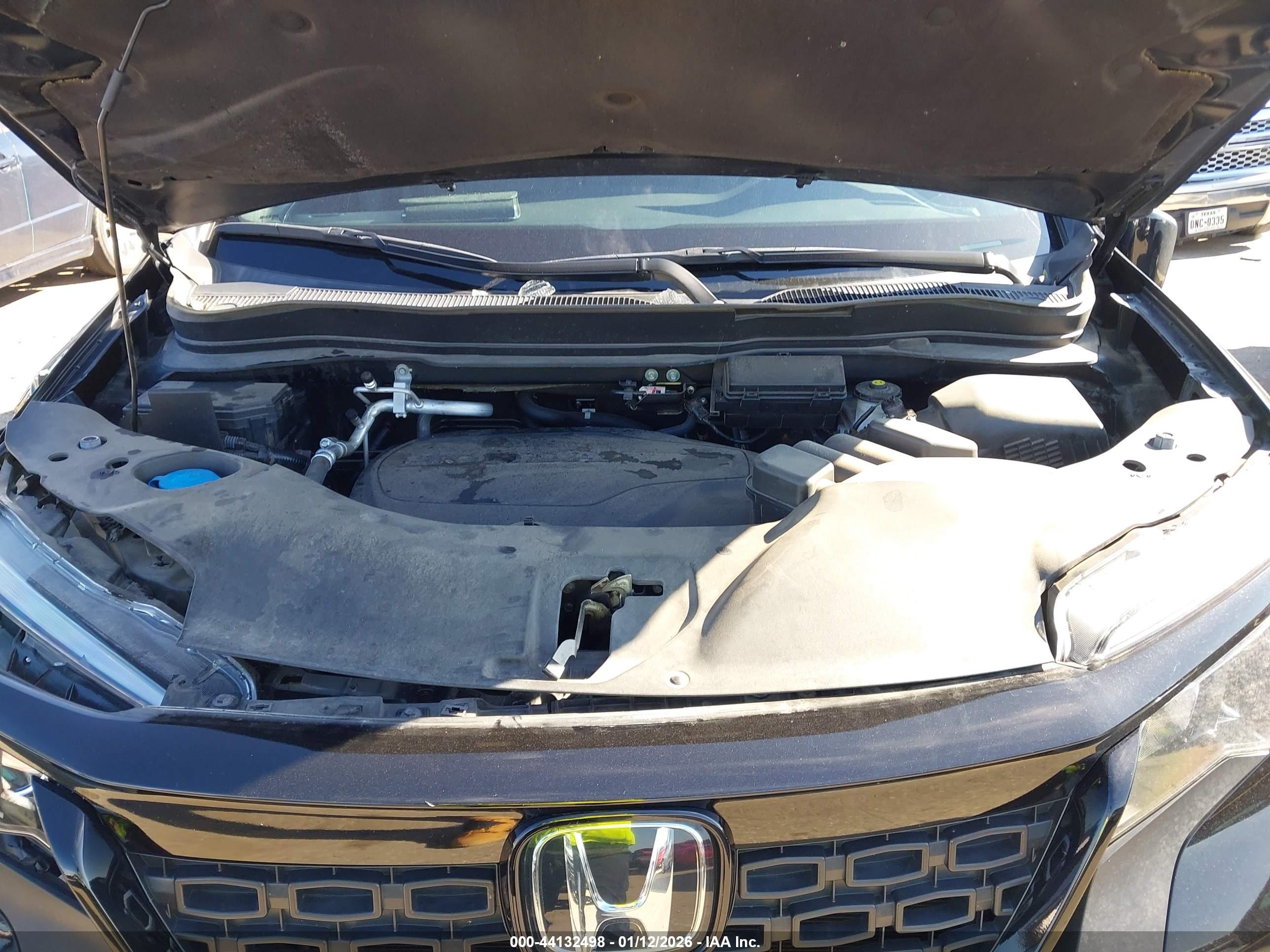 HONDA PASSPORT image 10