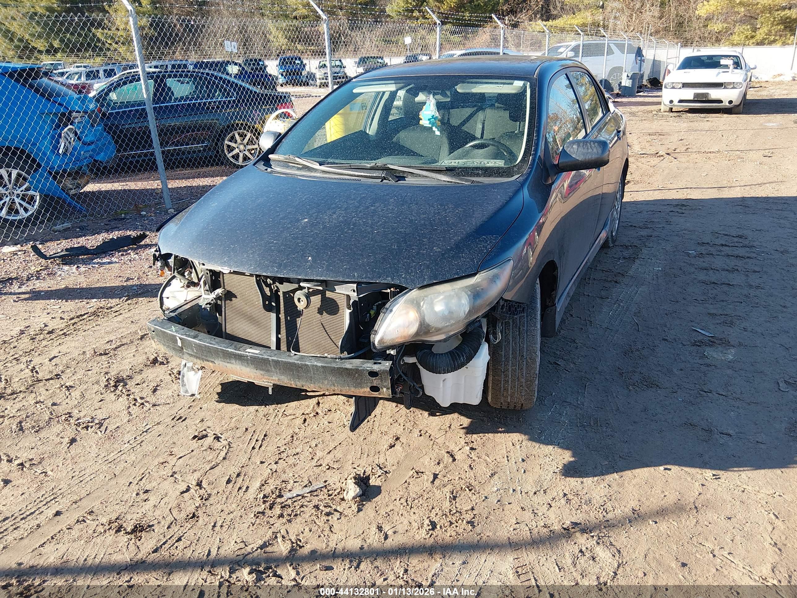 TOYOTA COROLLA image 2