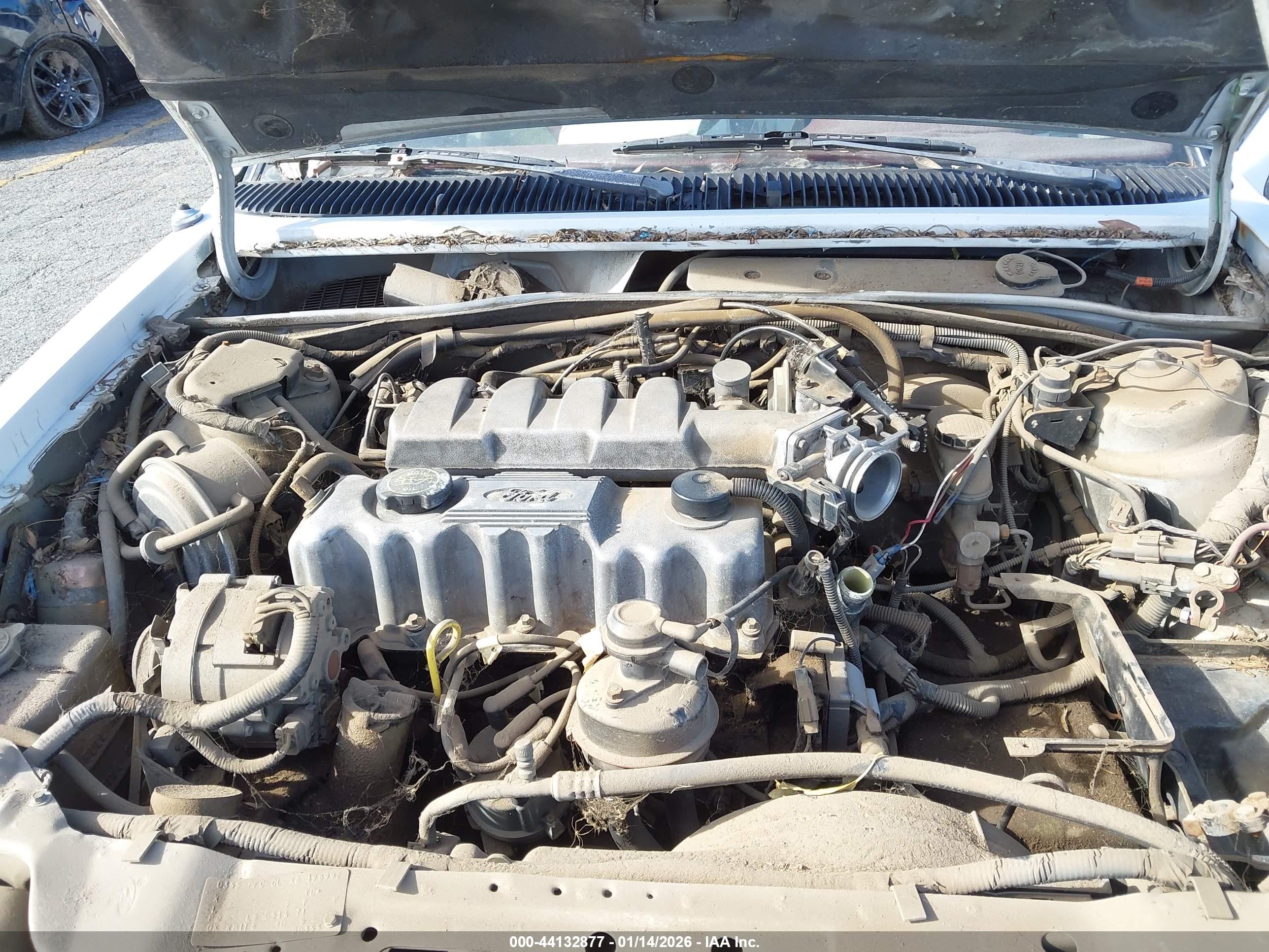 FORD TEMPO image 10