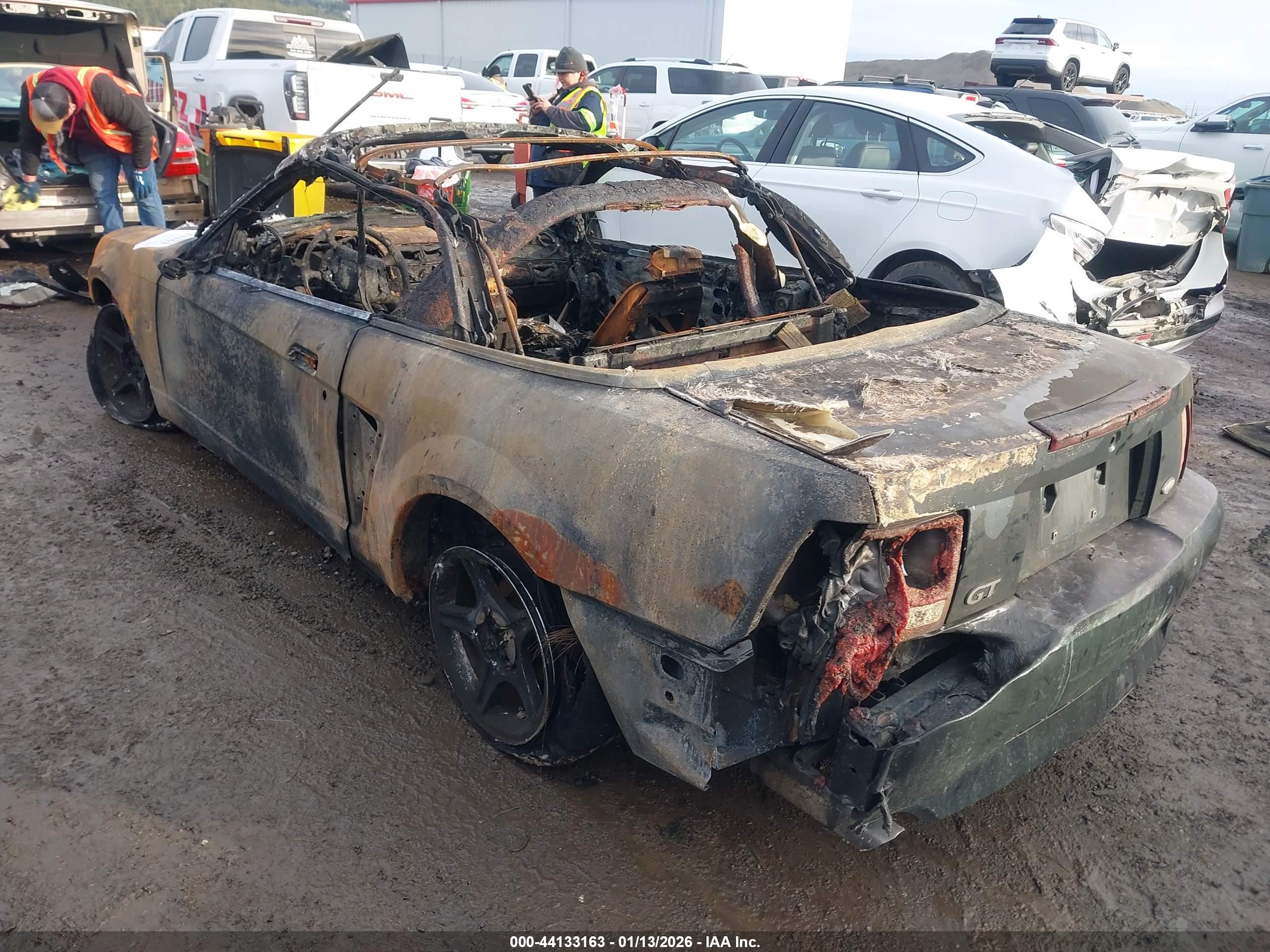 FORD MUSTANG image 3