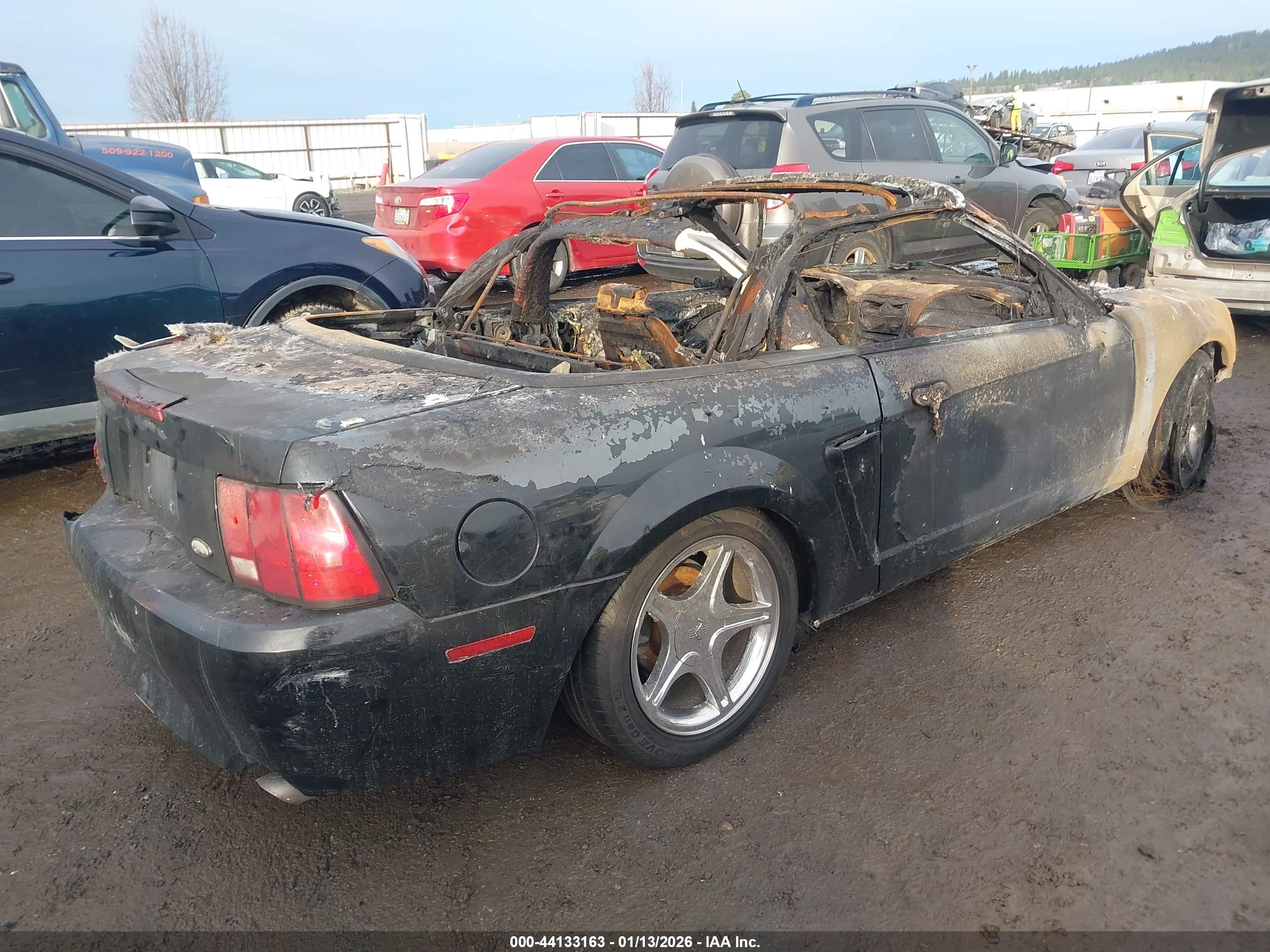 FORD MUSTANG image 4