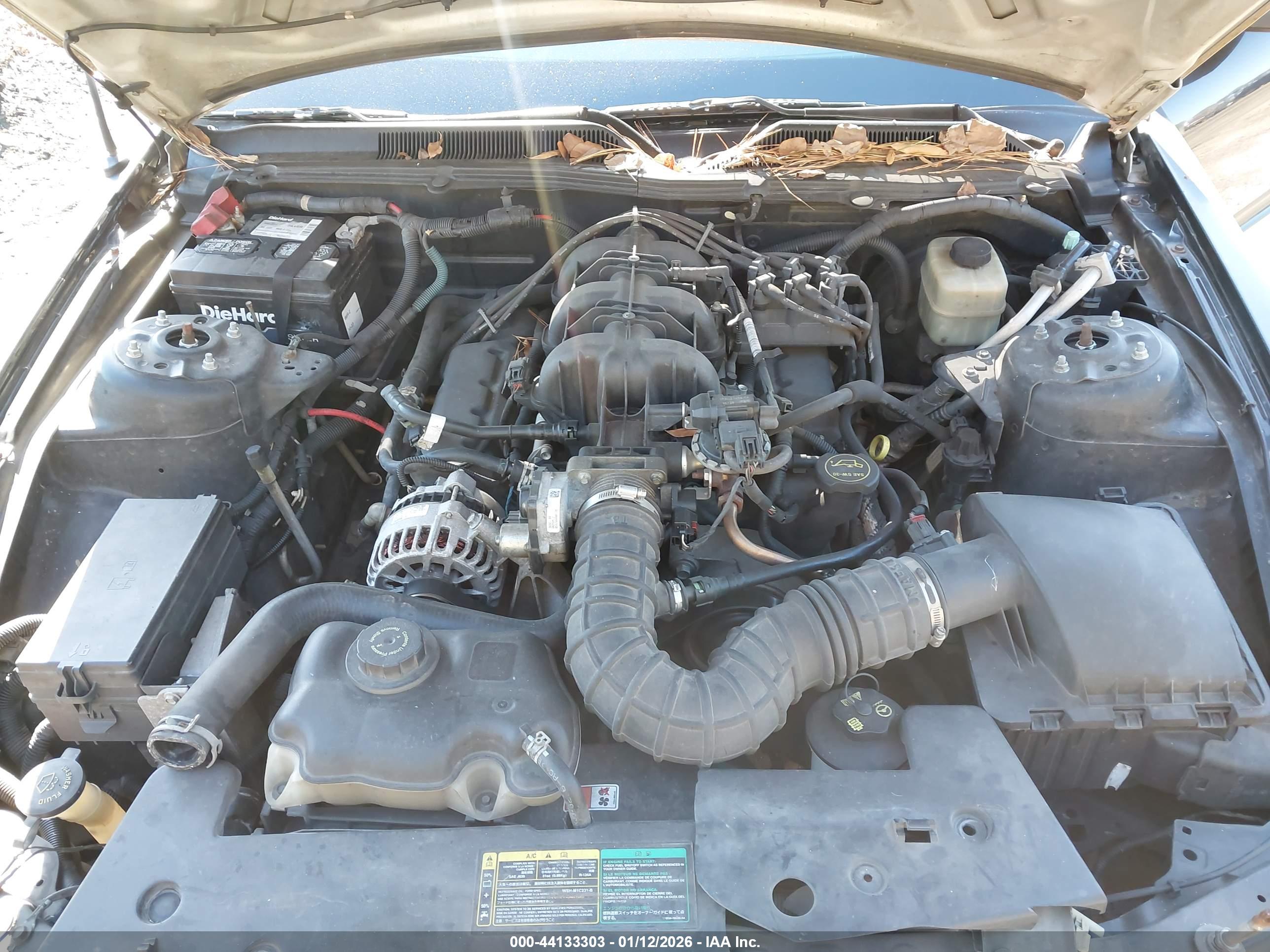 FORD MUSTANG image 10