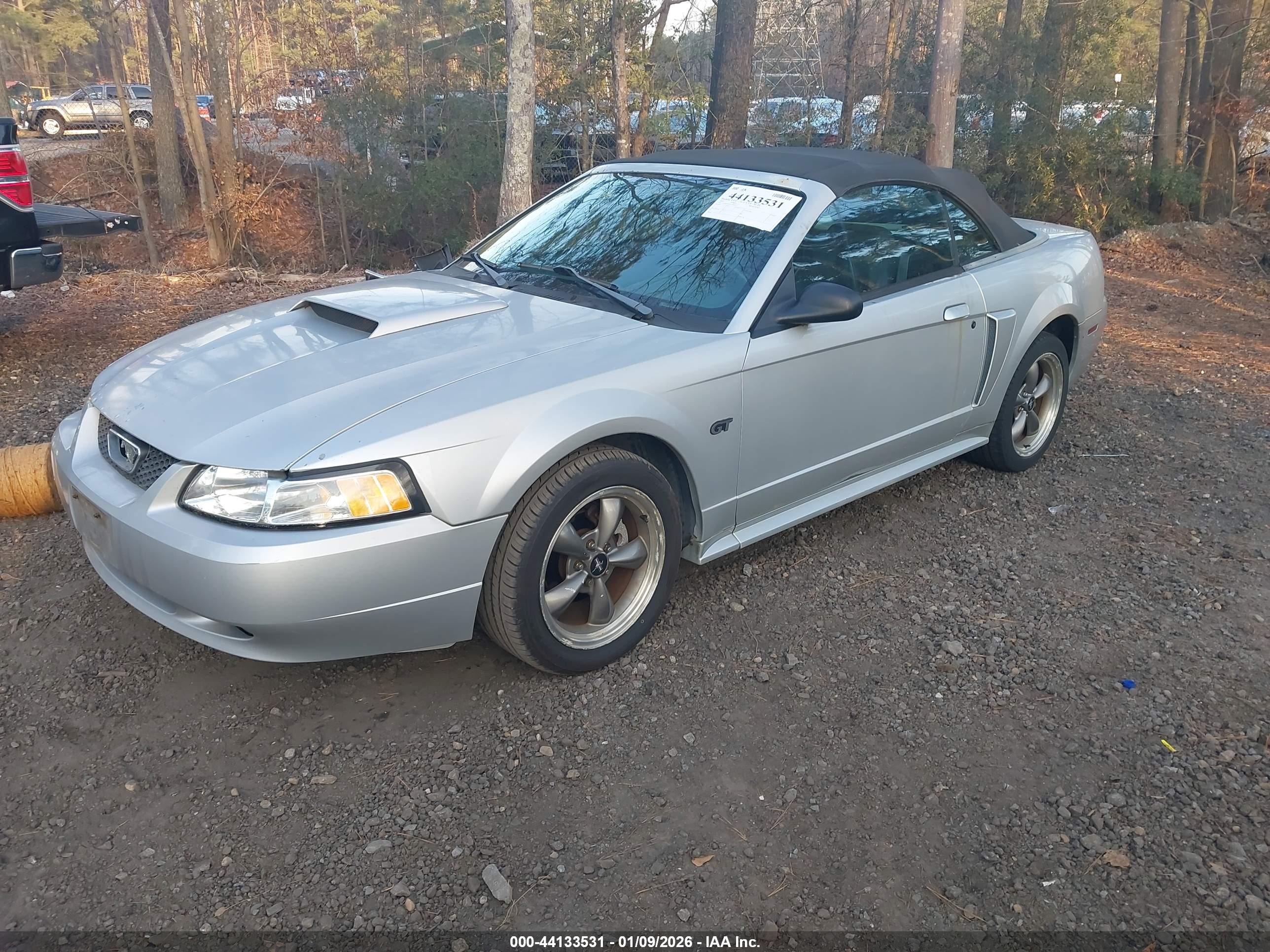 FORD MUSTANG image 2