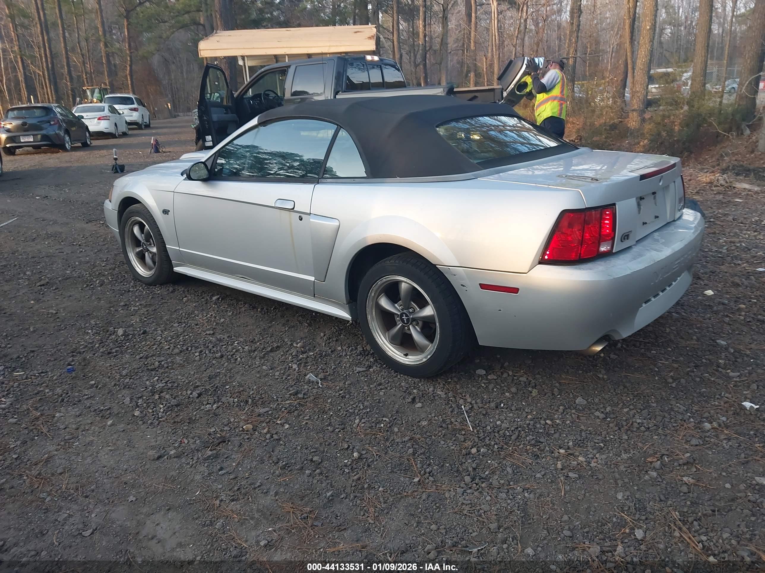 FORD MUSTANG image 3