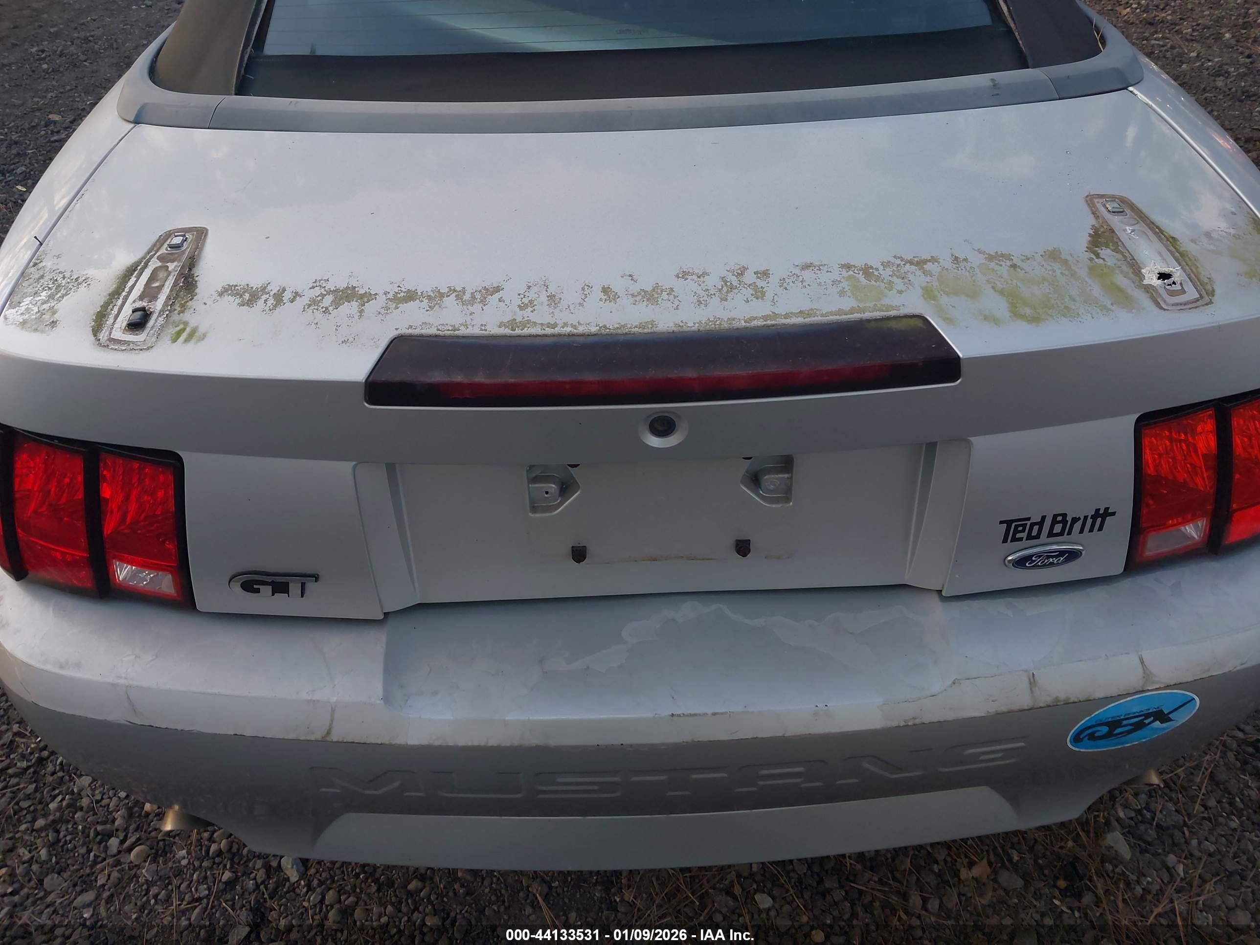FORD MUSTANG image 6