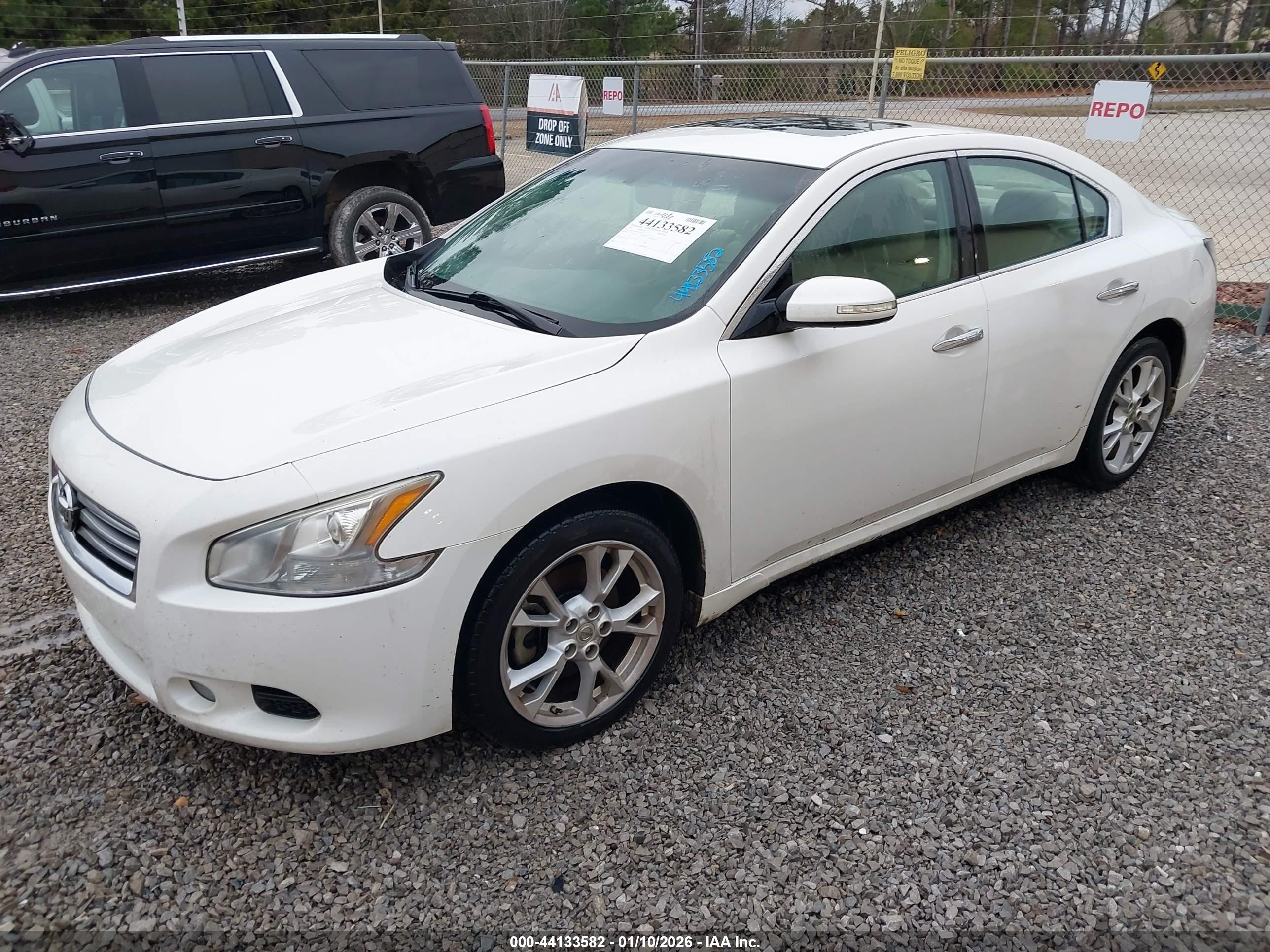 NISSAN MAXIMA image 2