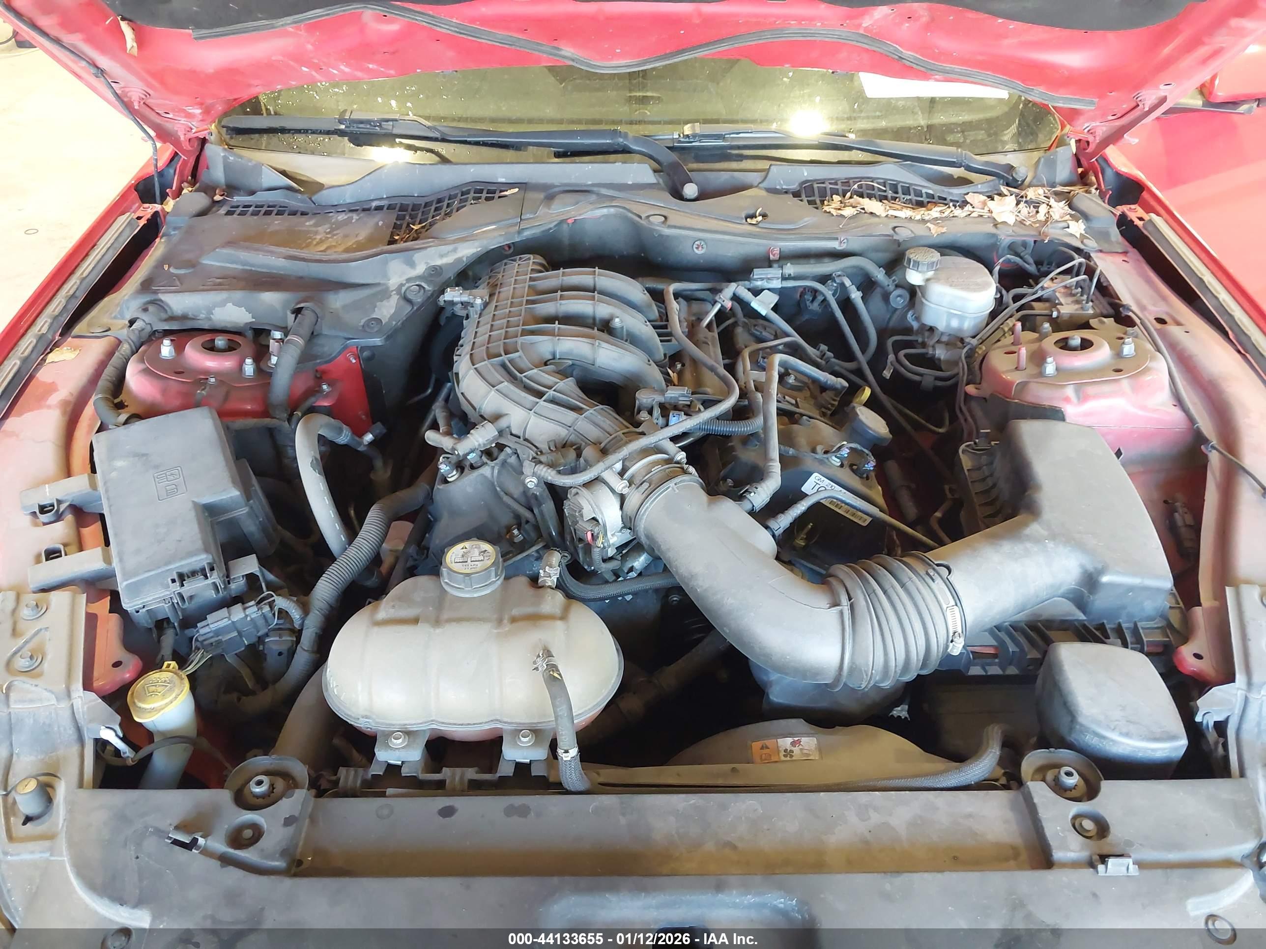 FORD MUSTANG image 10