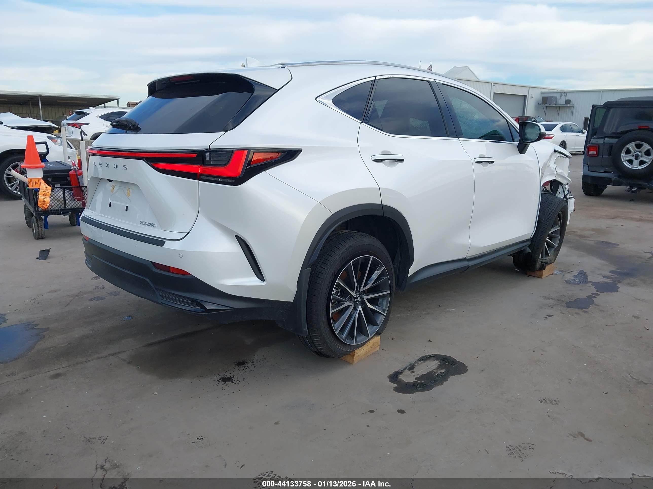 LEXUS NX image 4