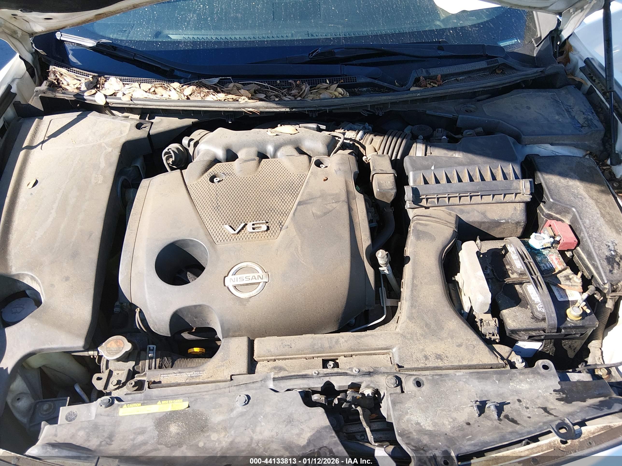 NISSAN MAXIMA image 10