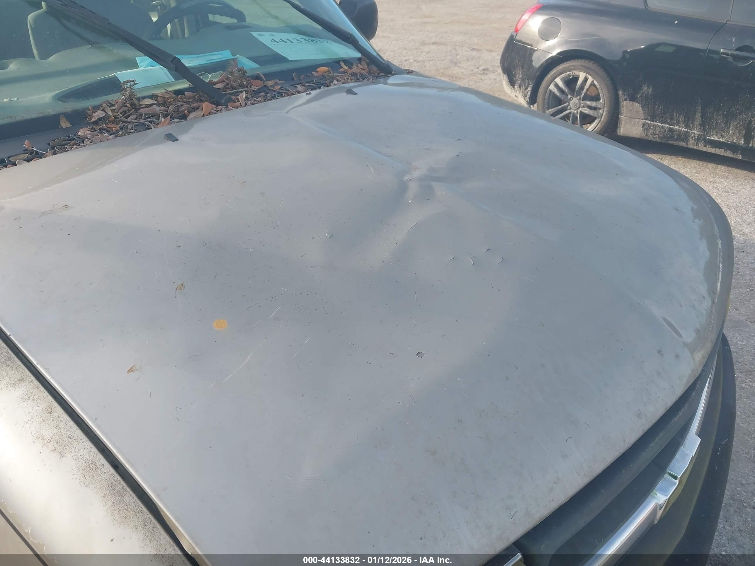 CHEVROLET S-10 image 6