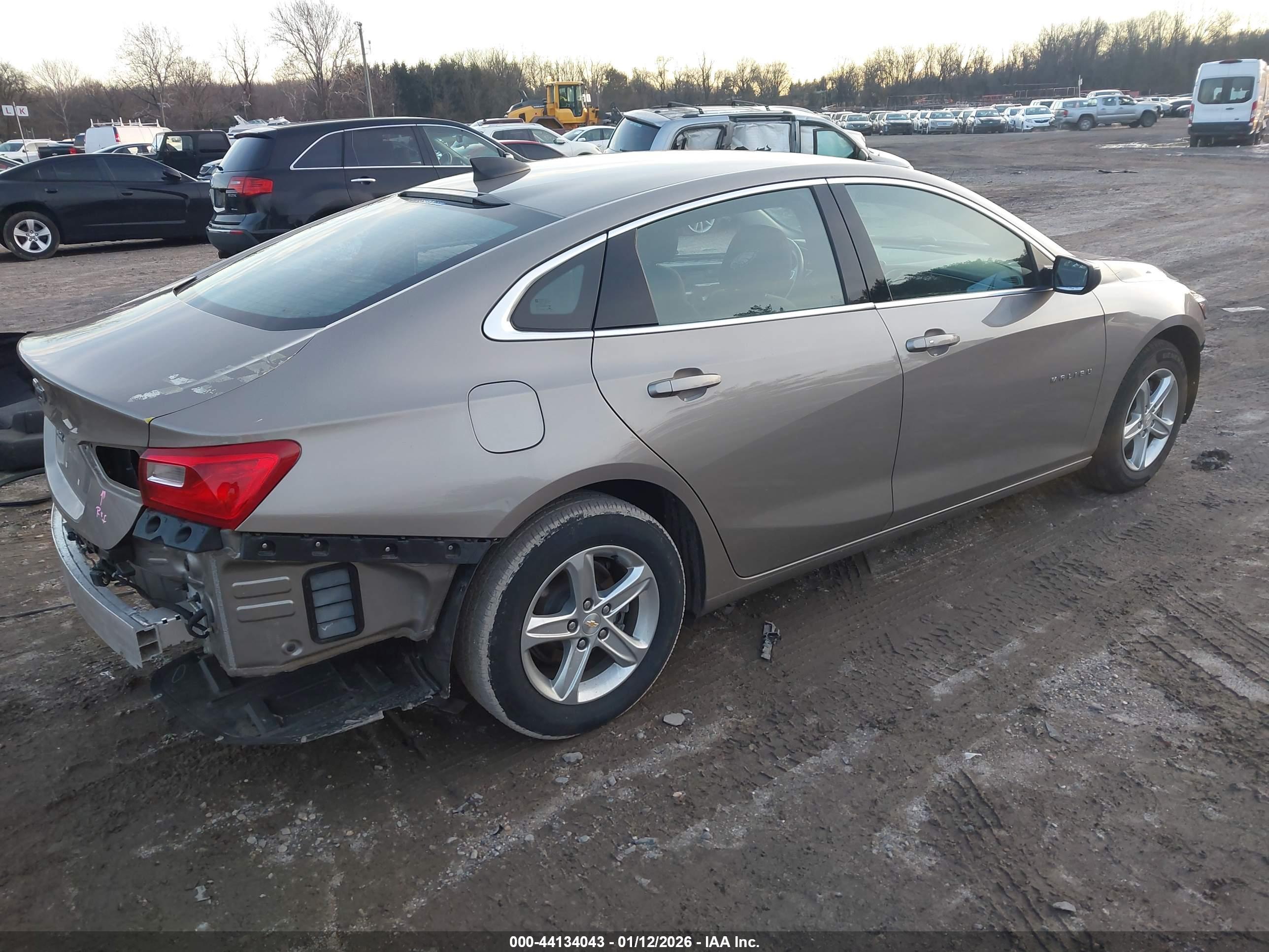 CHEVROLET MALIBU image 4
