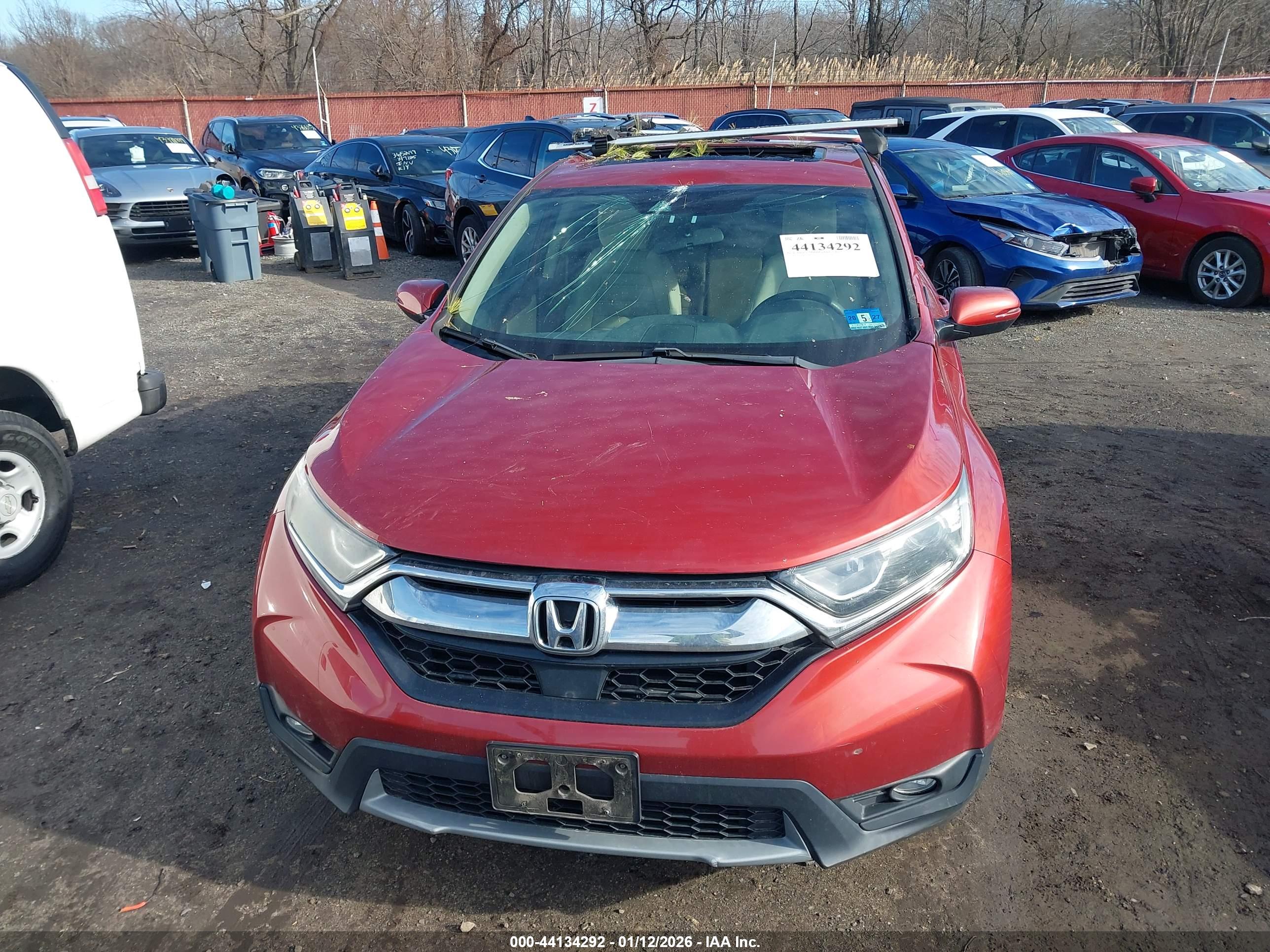 HONDA CR-V image 6