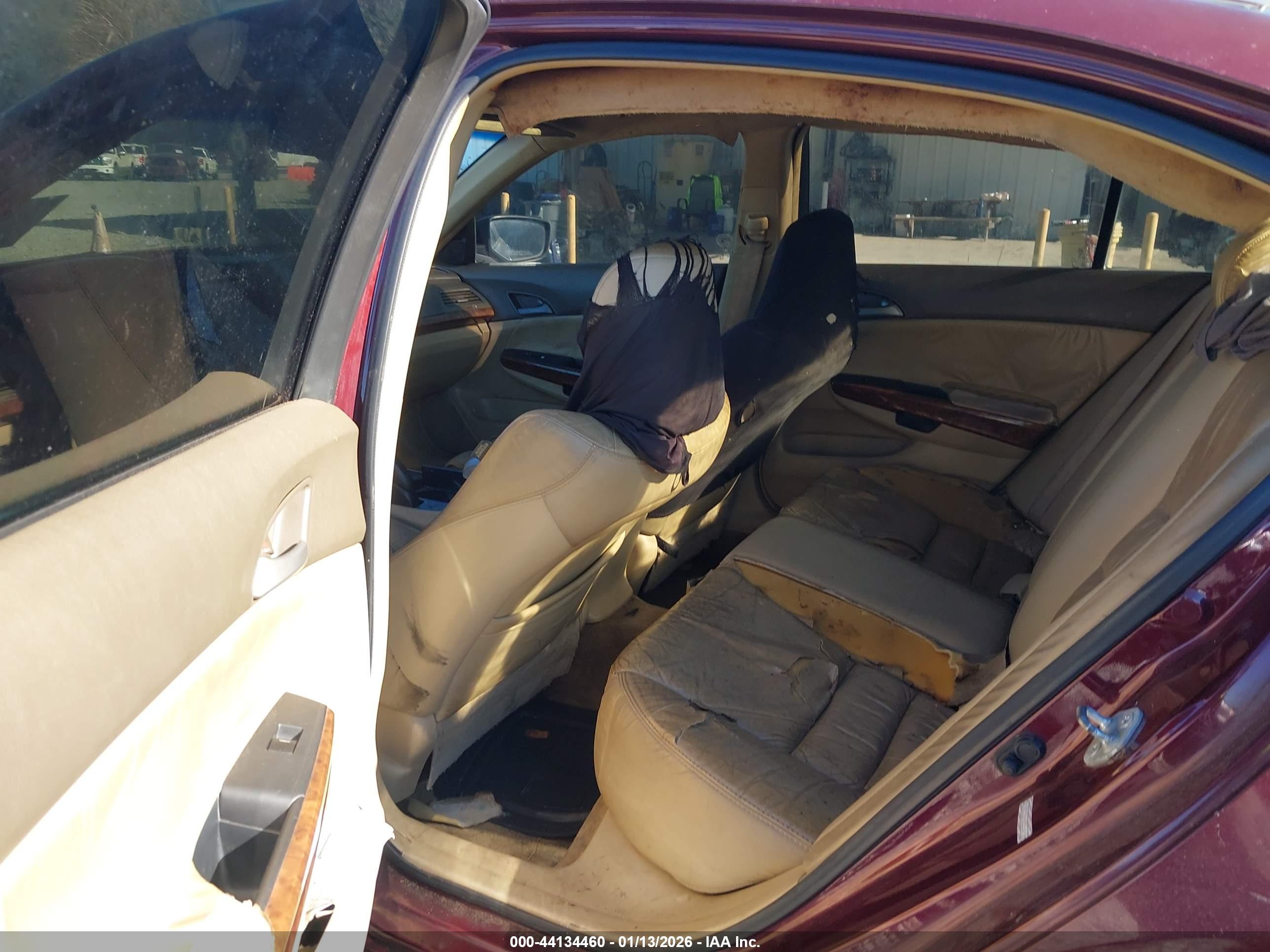 HONDA ACCORD image 8