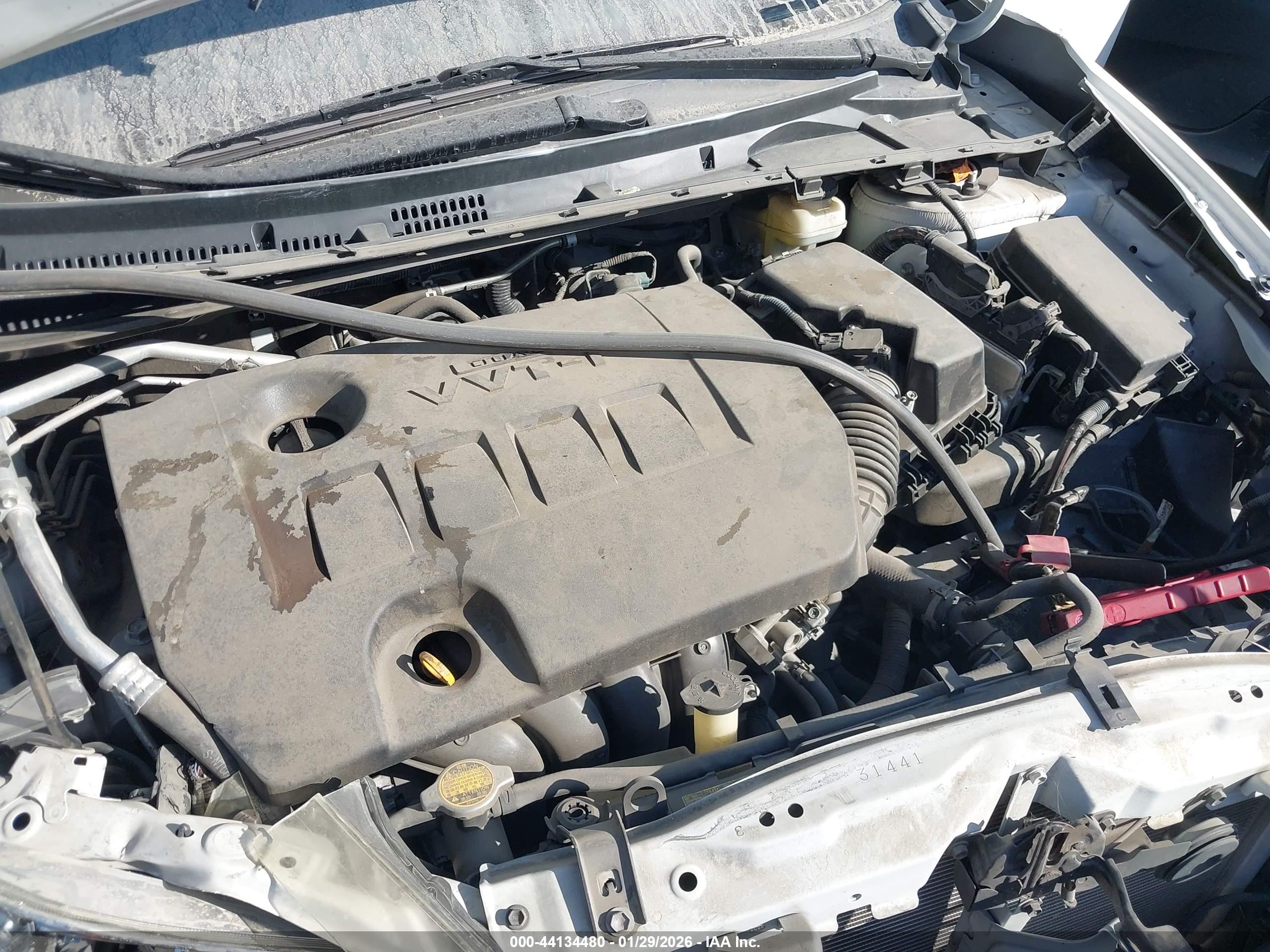 TOYOTA COROLLA image 10