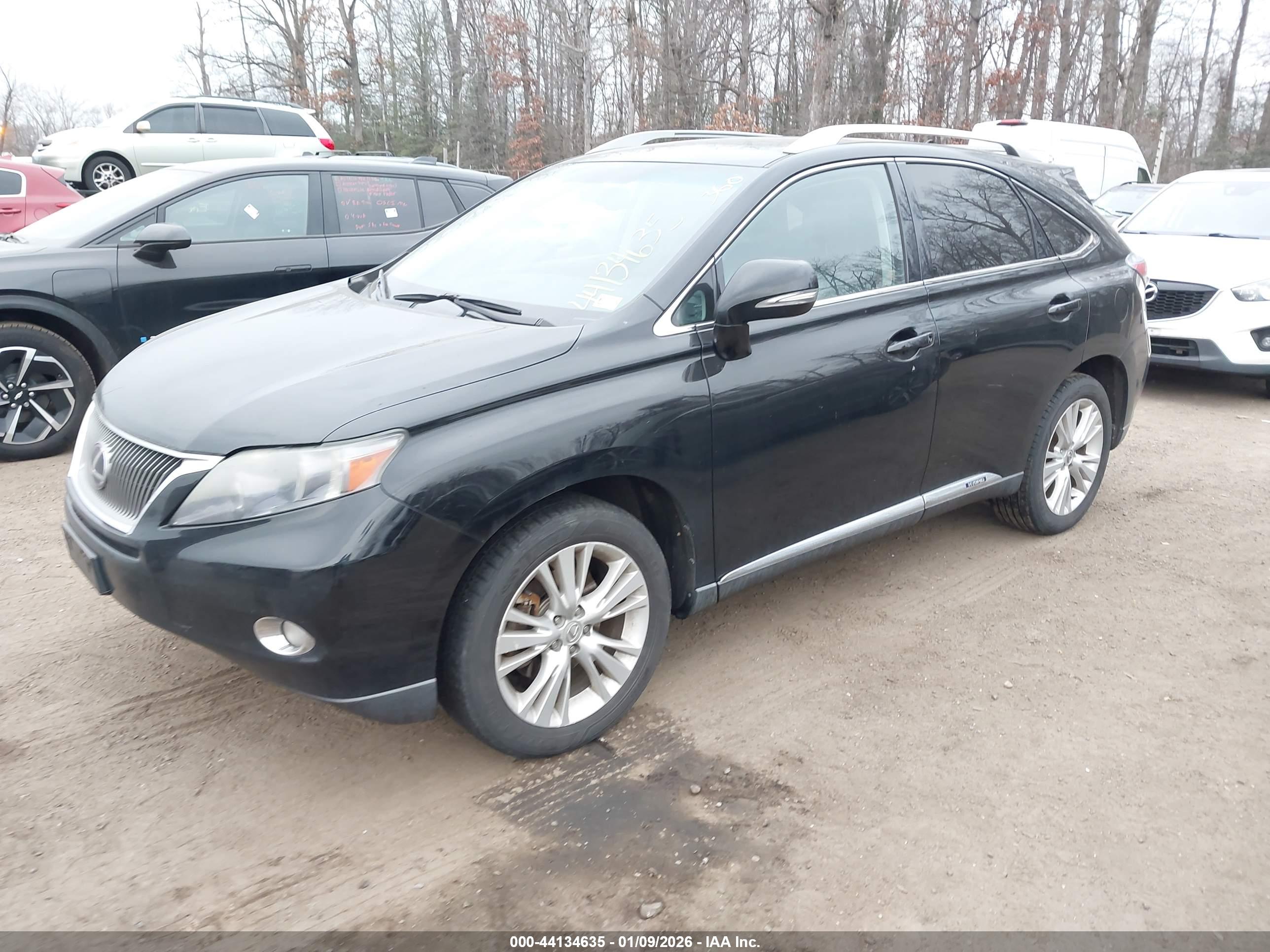 LEXUS RX image 2
