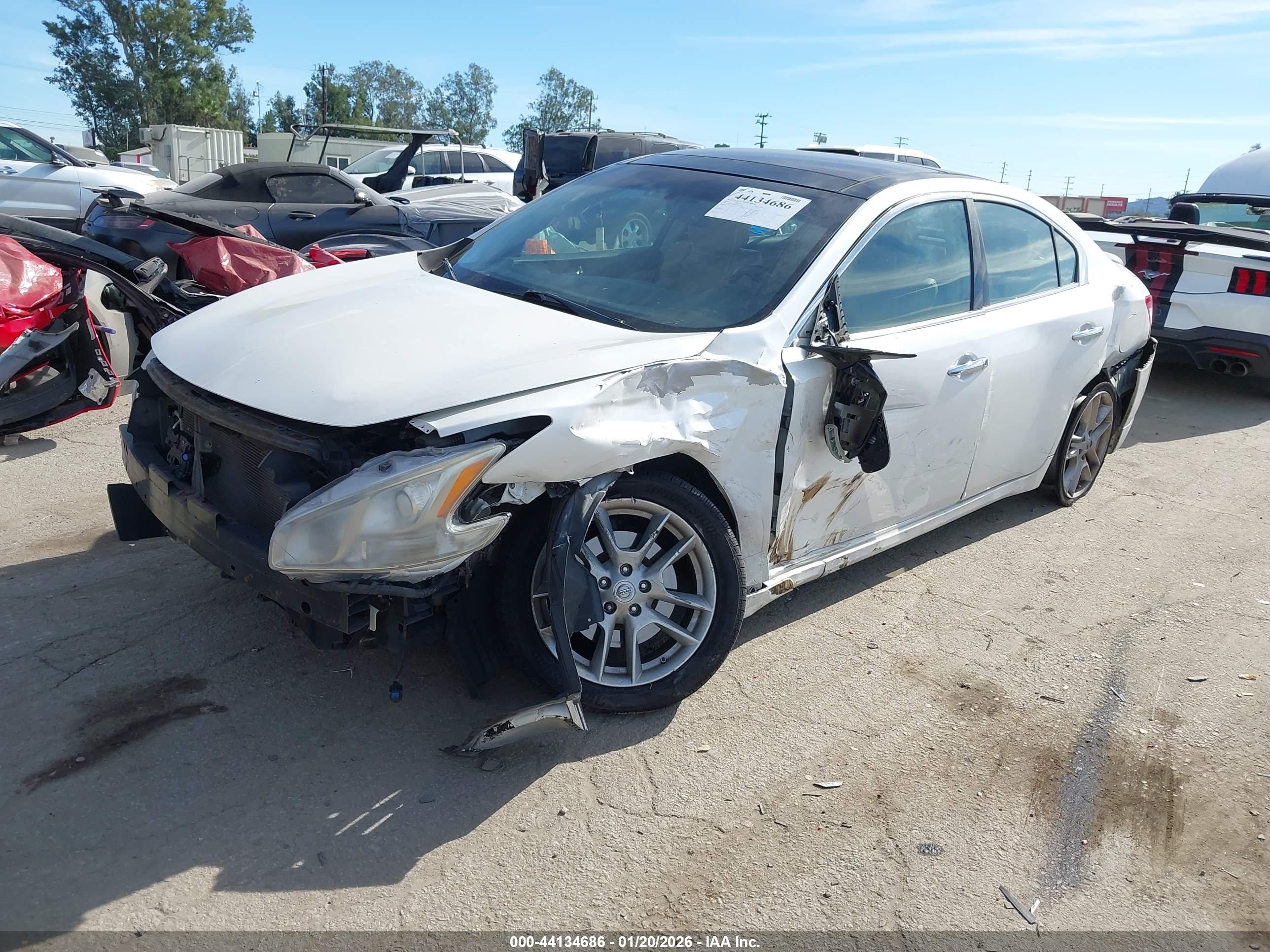NISSAN MAXIMA image 2