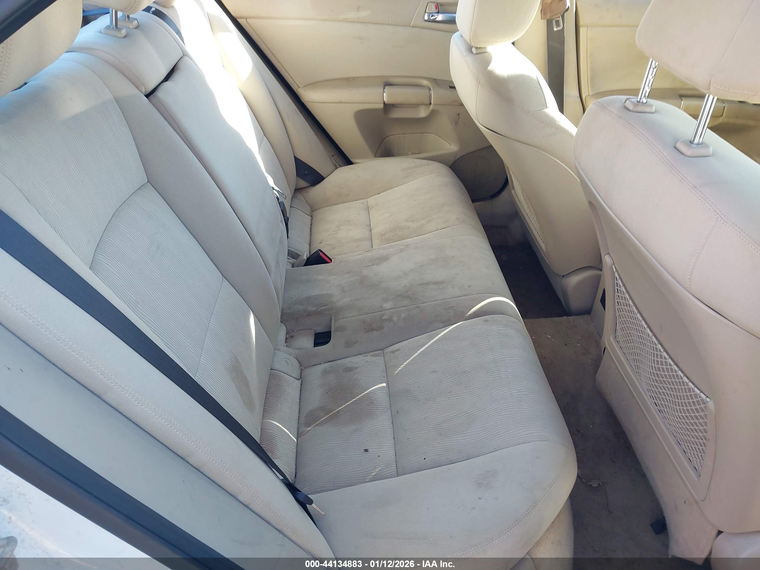 SUZUKI KIZASHI image 8