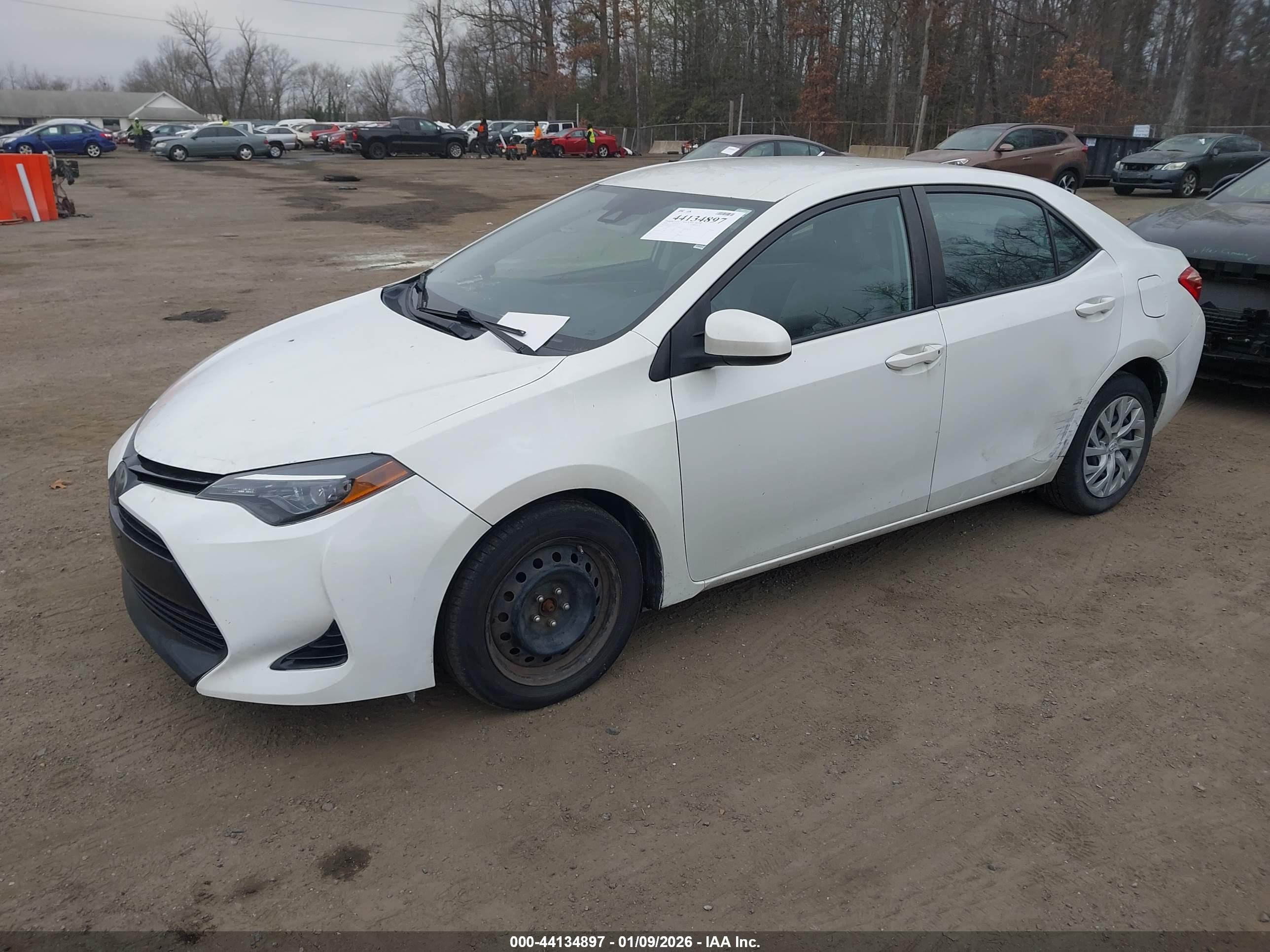 TOYOTA COROLLA image 2