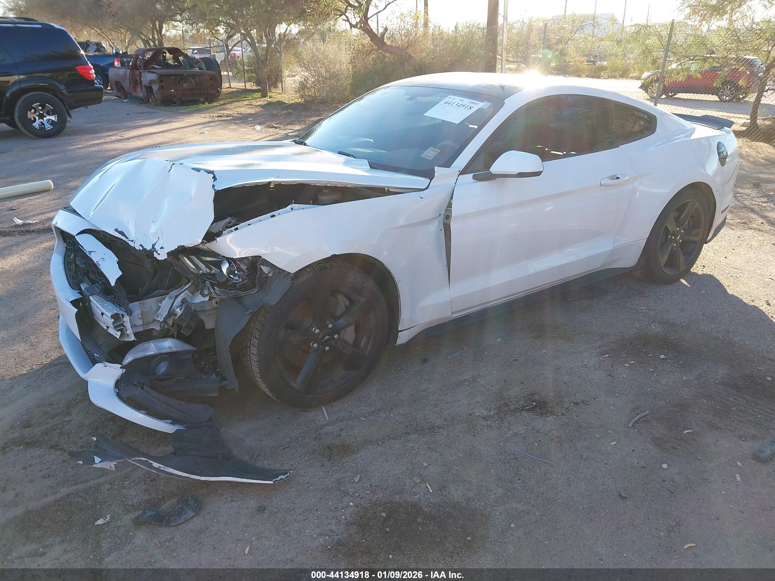 FORD MUSTANG image 2
