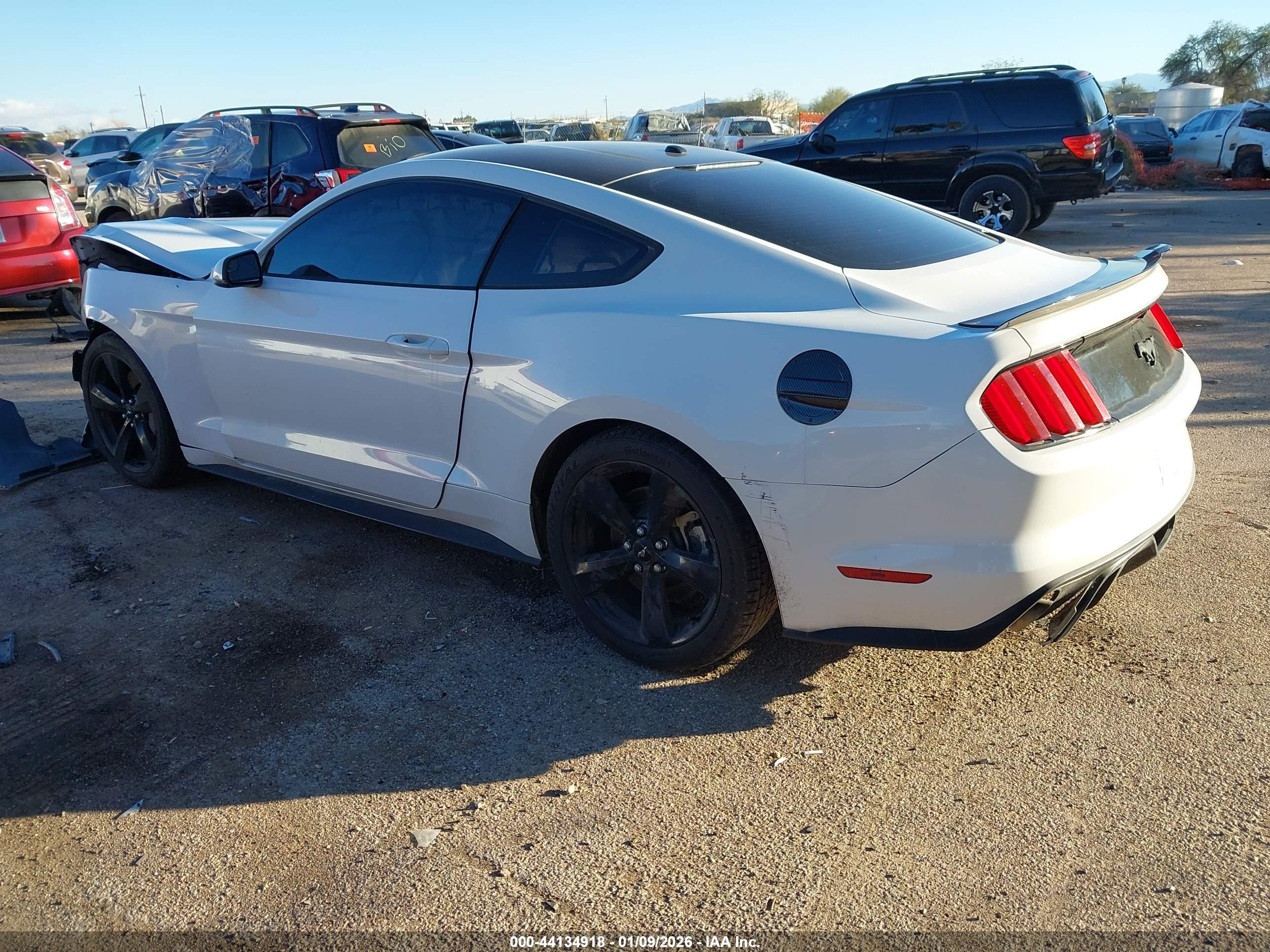 FORD MUSTANG image 3