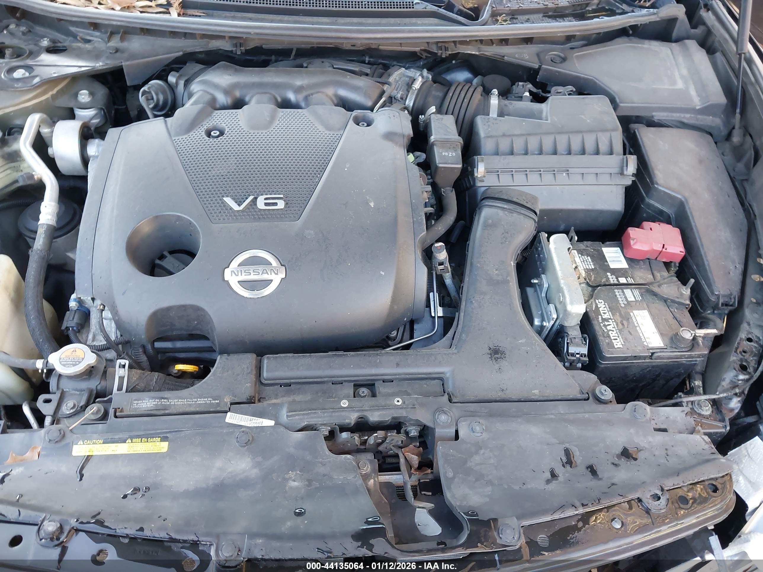 NISSAN MAXIMA image 10