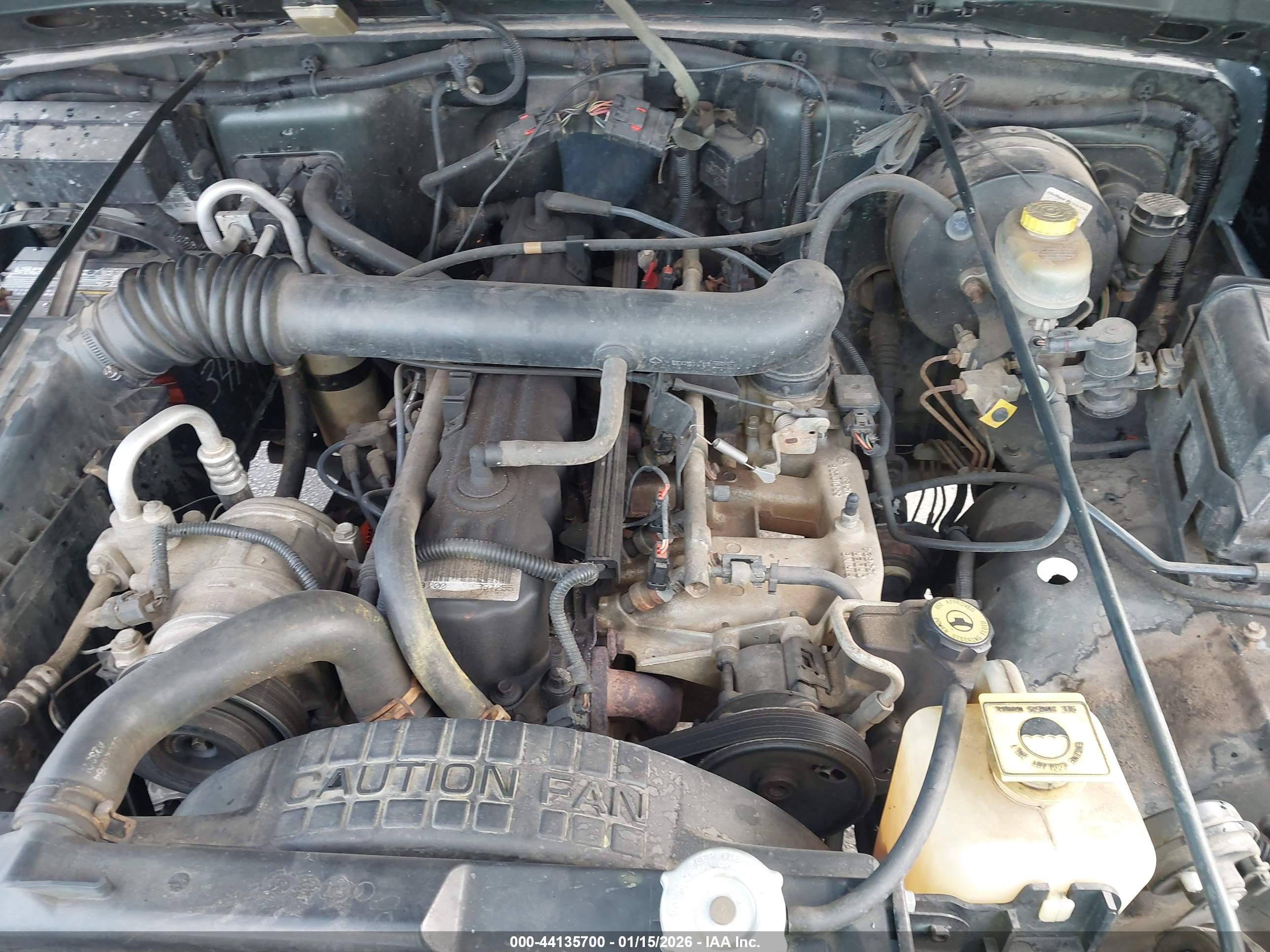 JEEP WRANGLER image 10