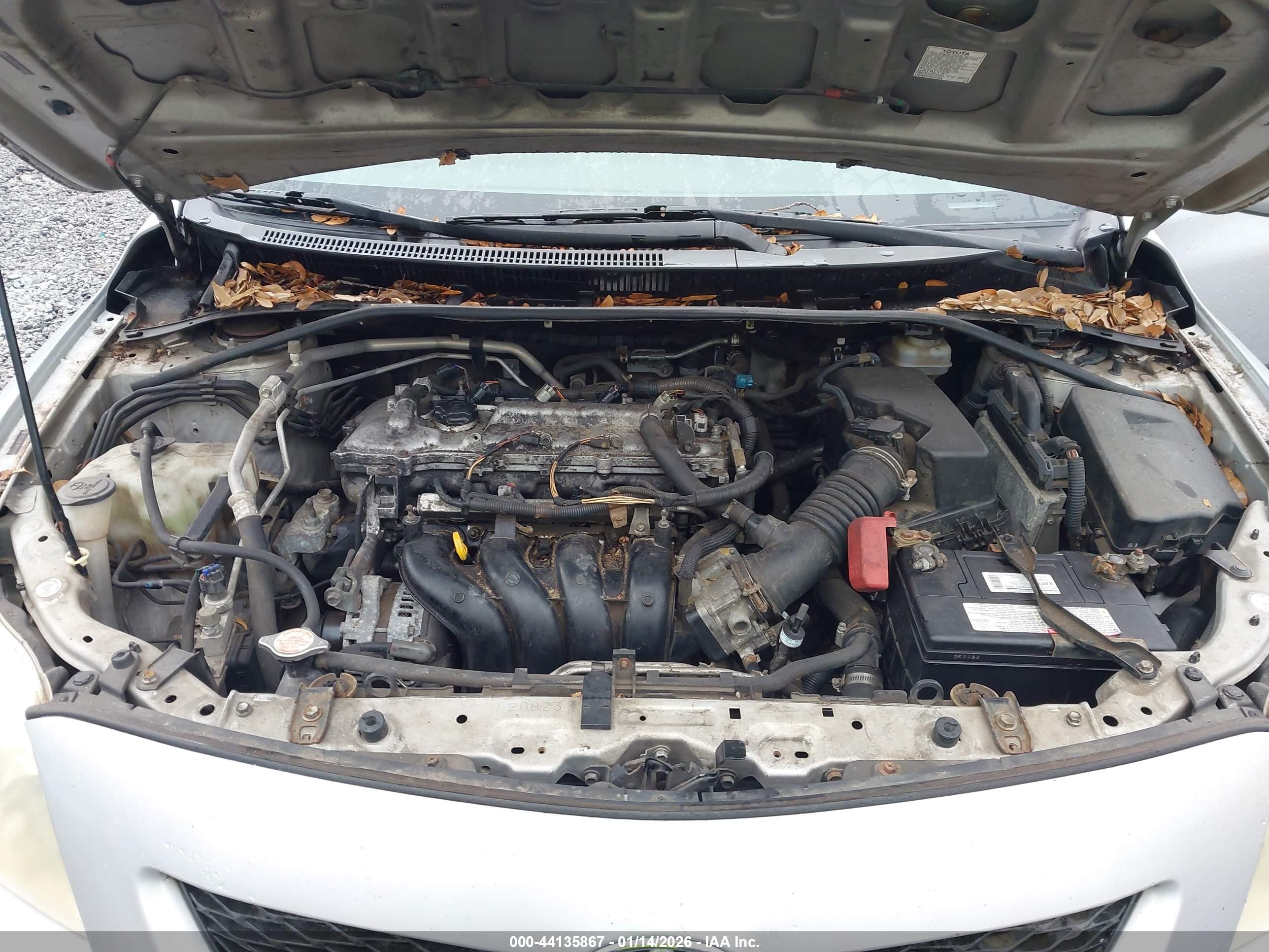 TOYOTA COROLLA image 10