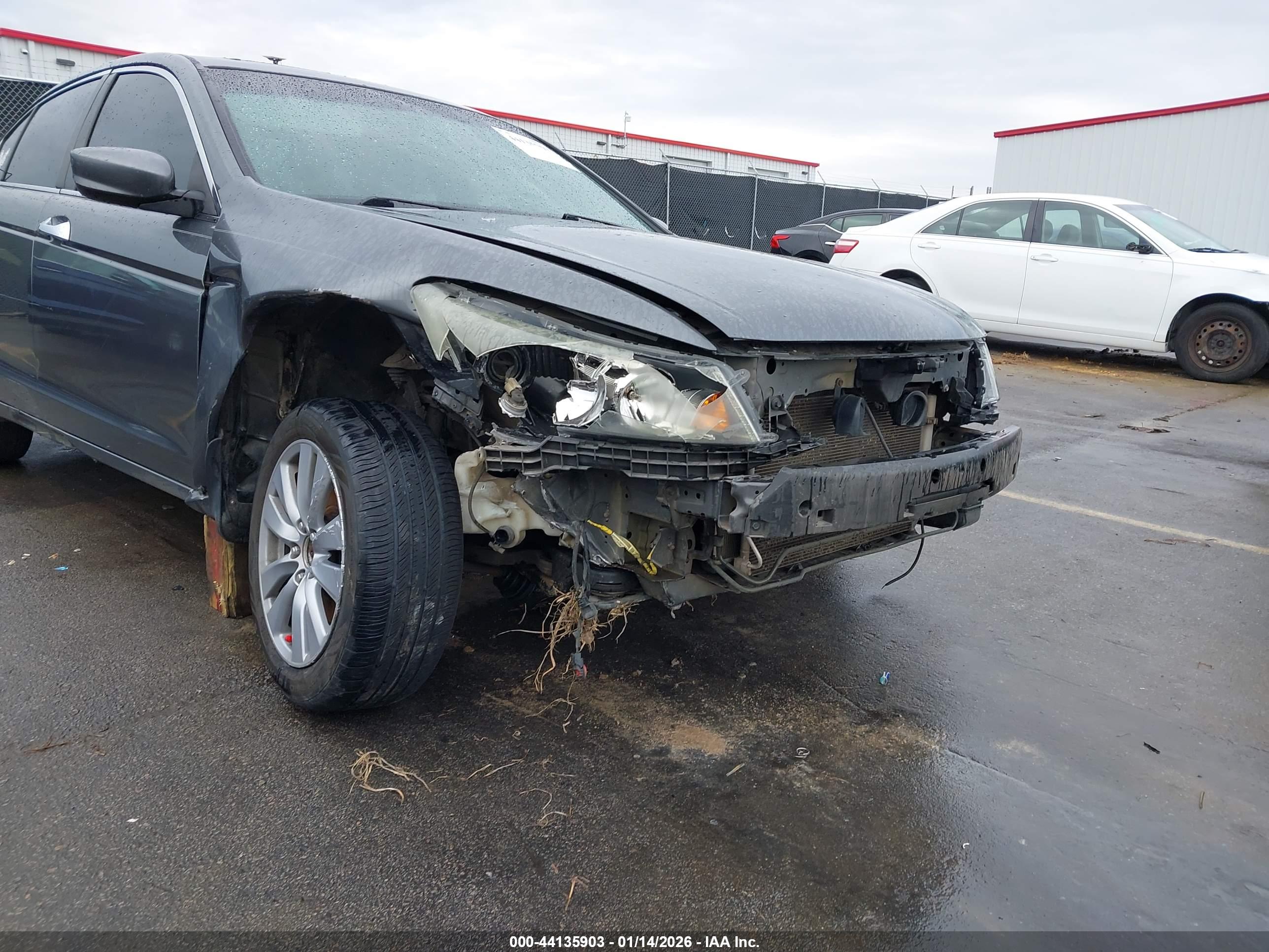 HONDA ACCORD image 6