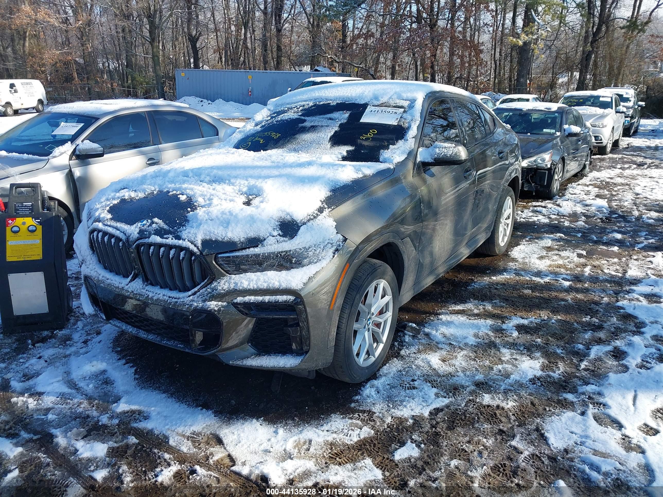 BMW X6 image 2