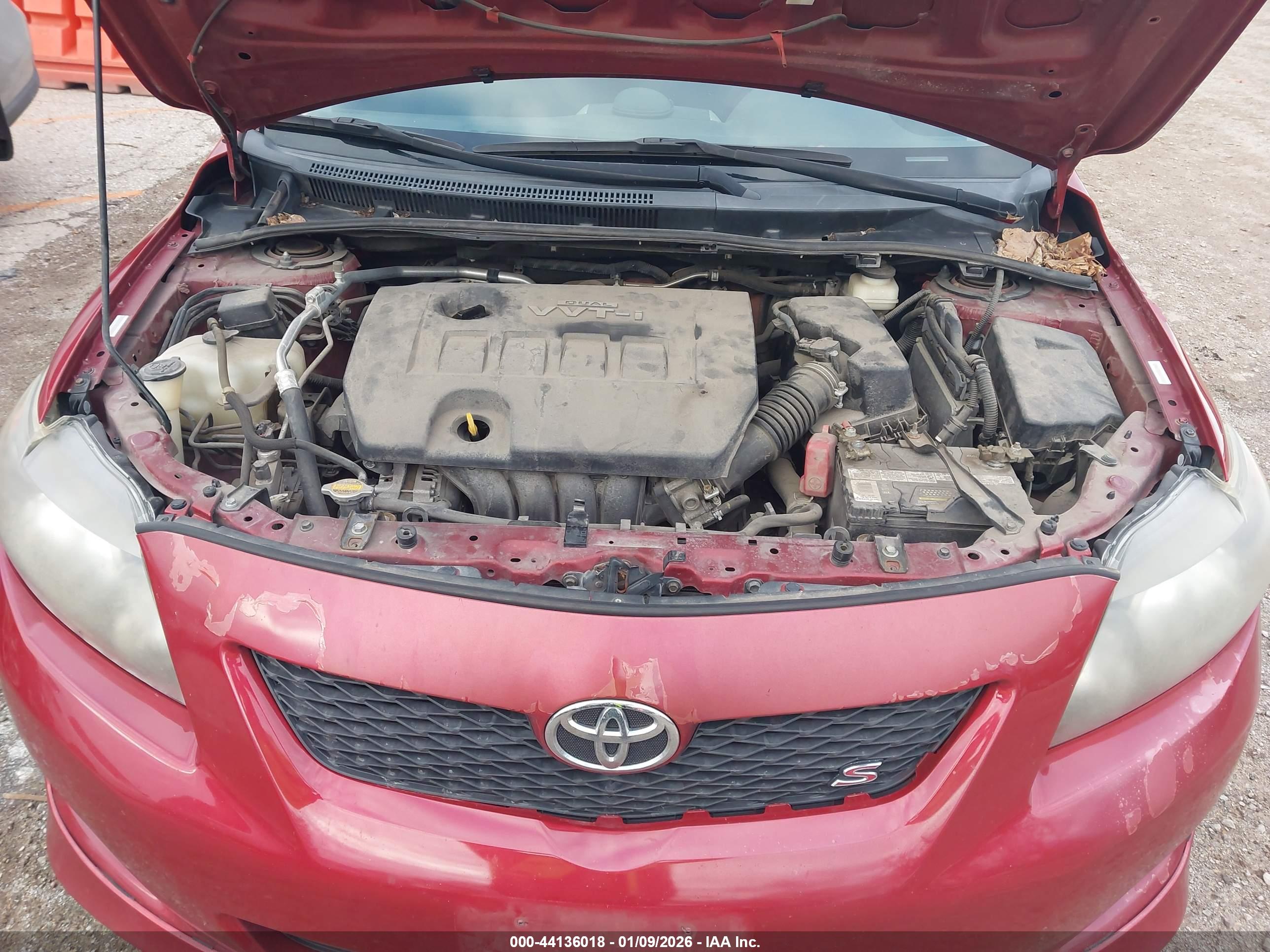 TOYOTA COROLLA image 10