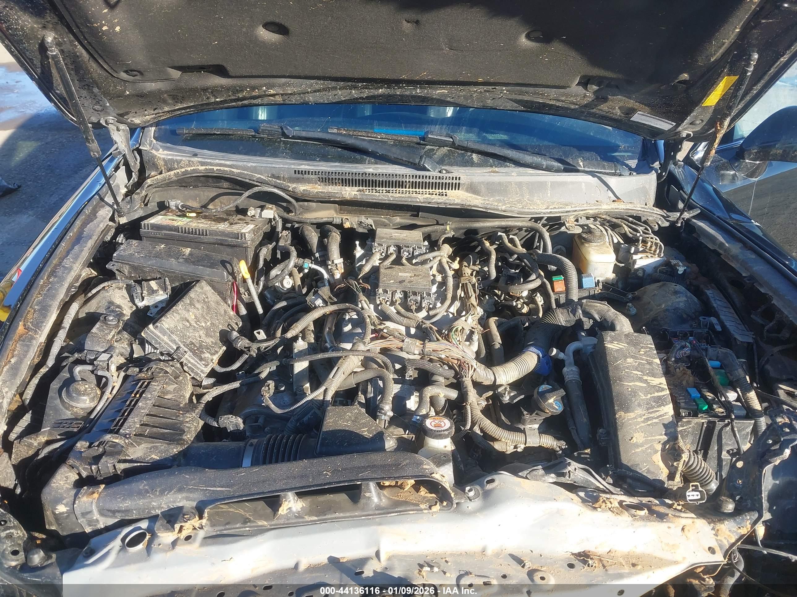 LEXUS IS image 10