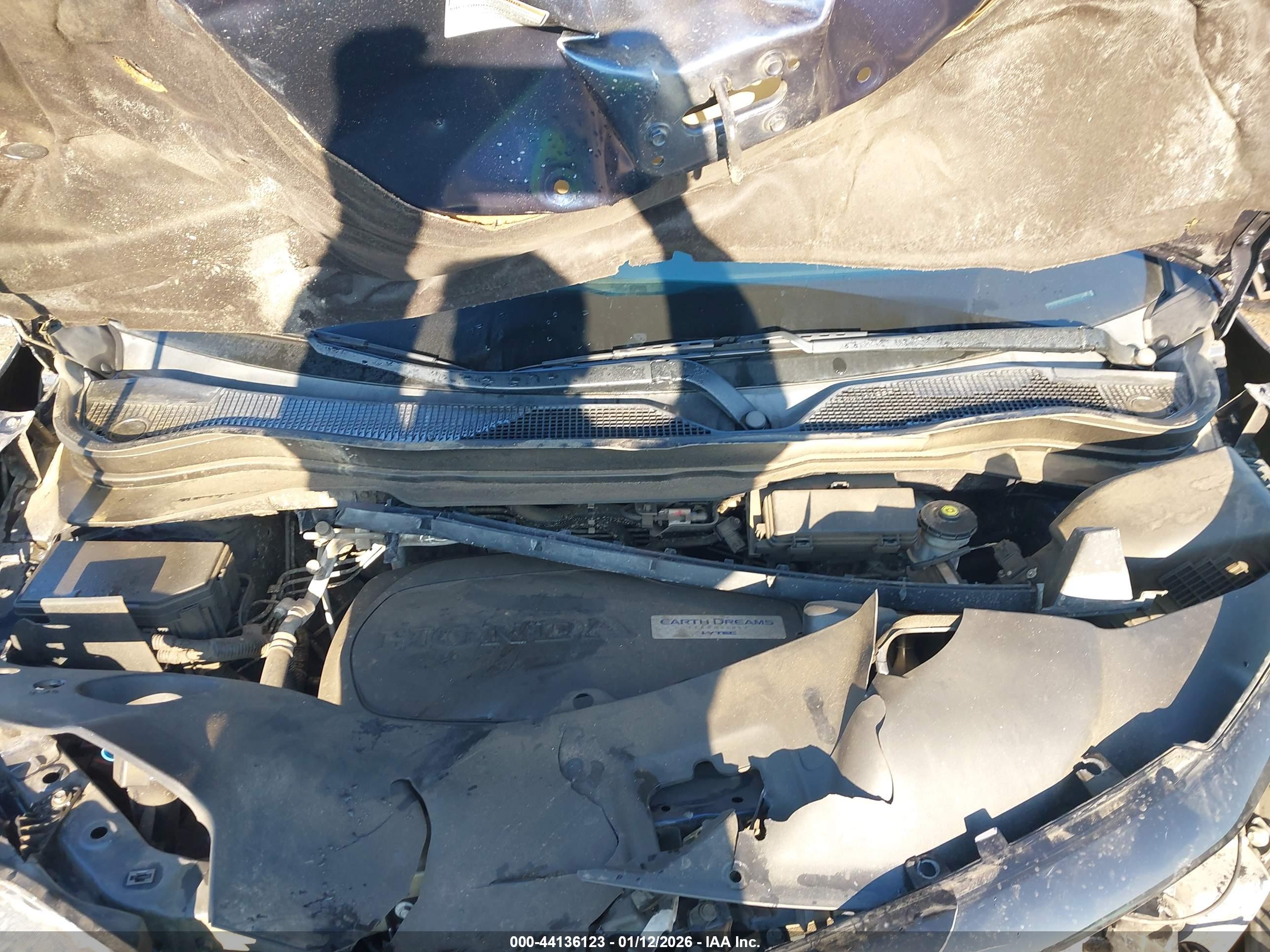 HONDA PASSPORT image 10