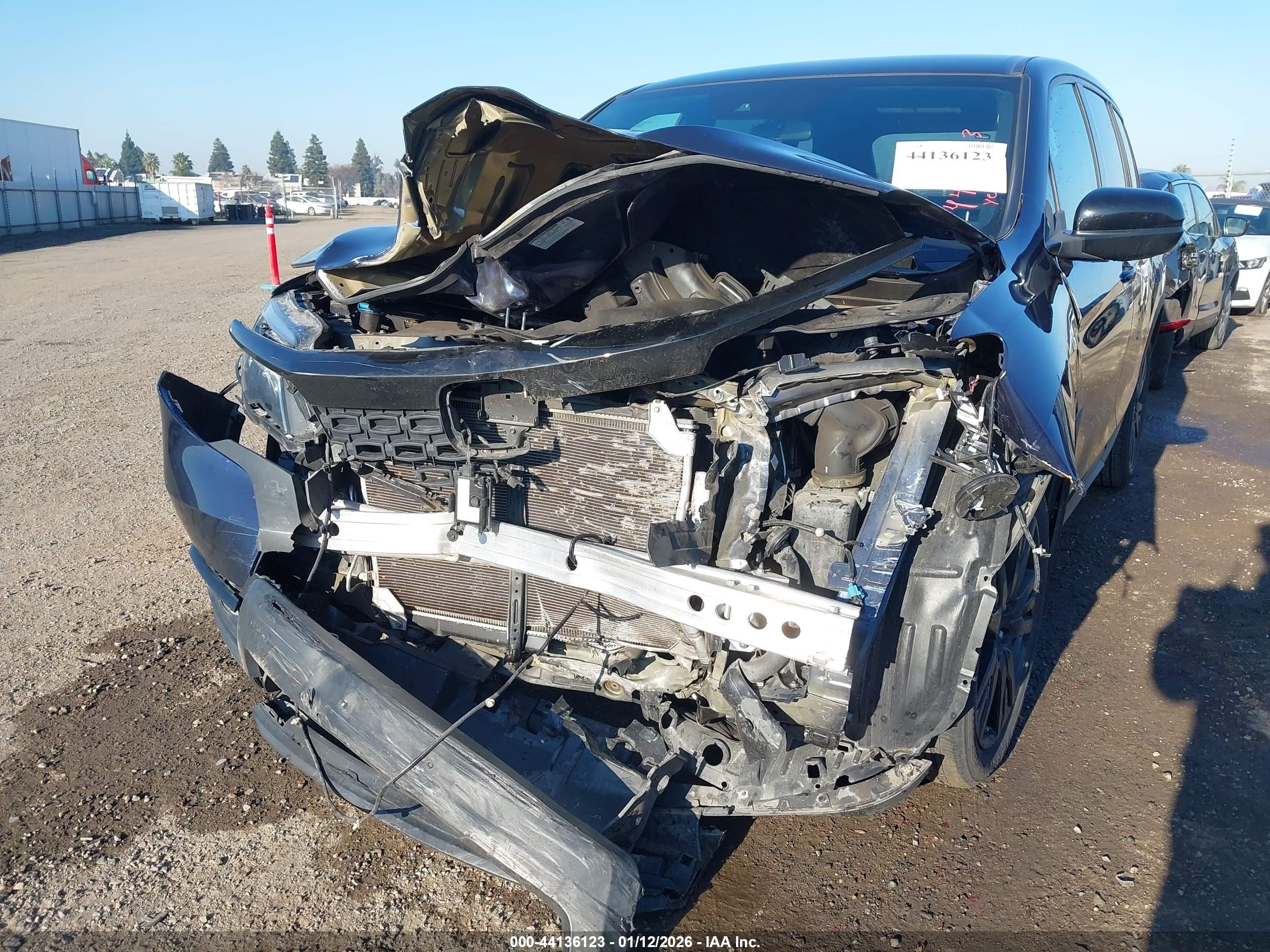 HONDA PASSPORT image 6
