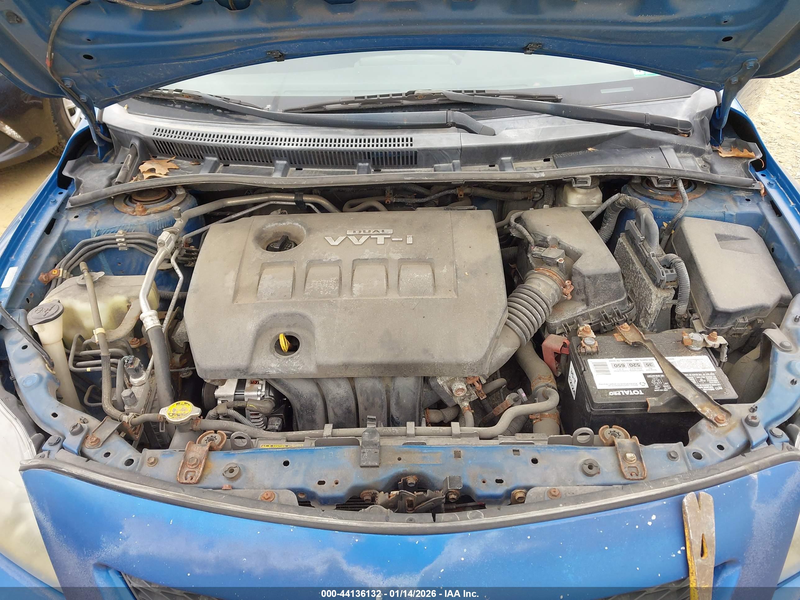 TOYOTA COROLLA image 10