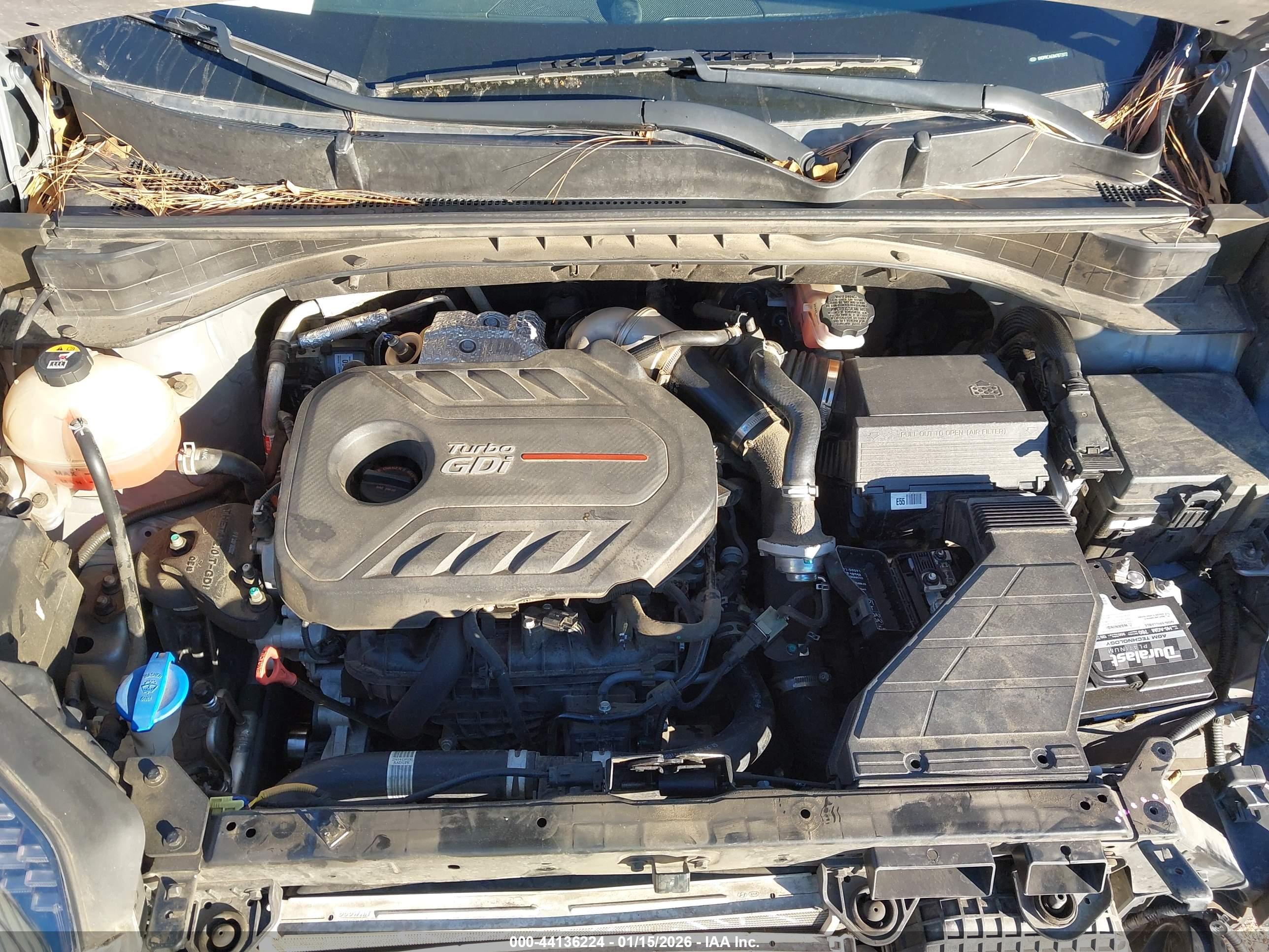 KIA SPORTAGE image 10