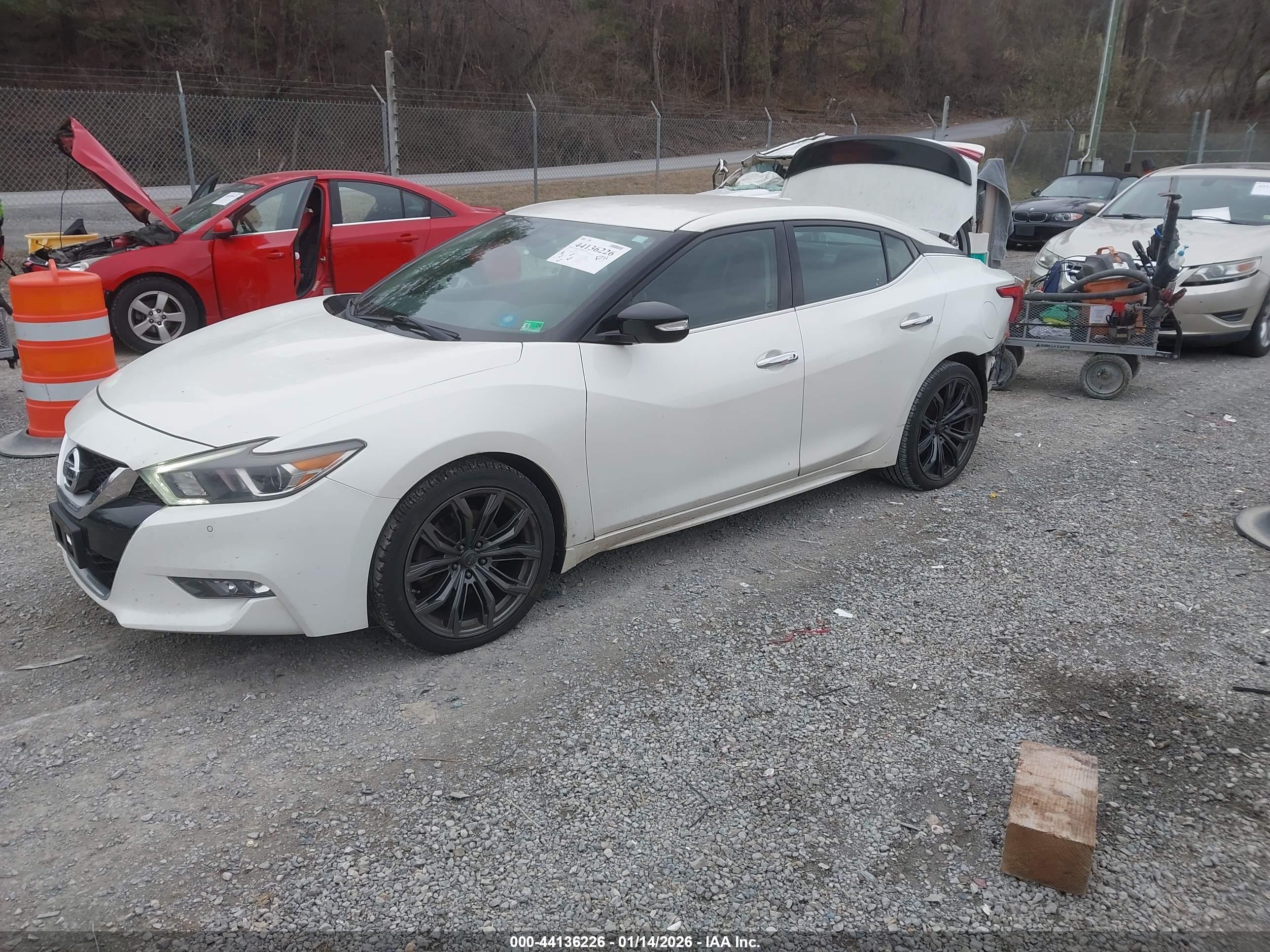NISSAN MAXIMA image 2