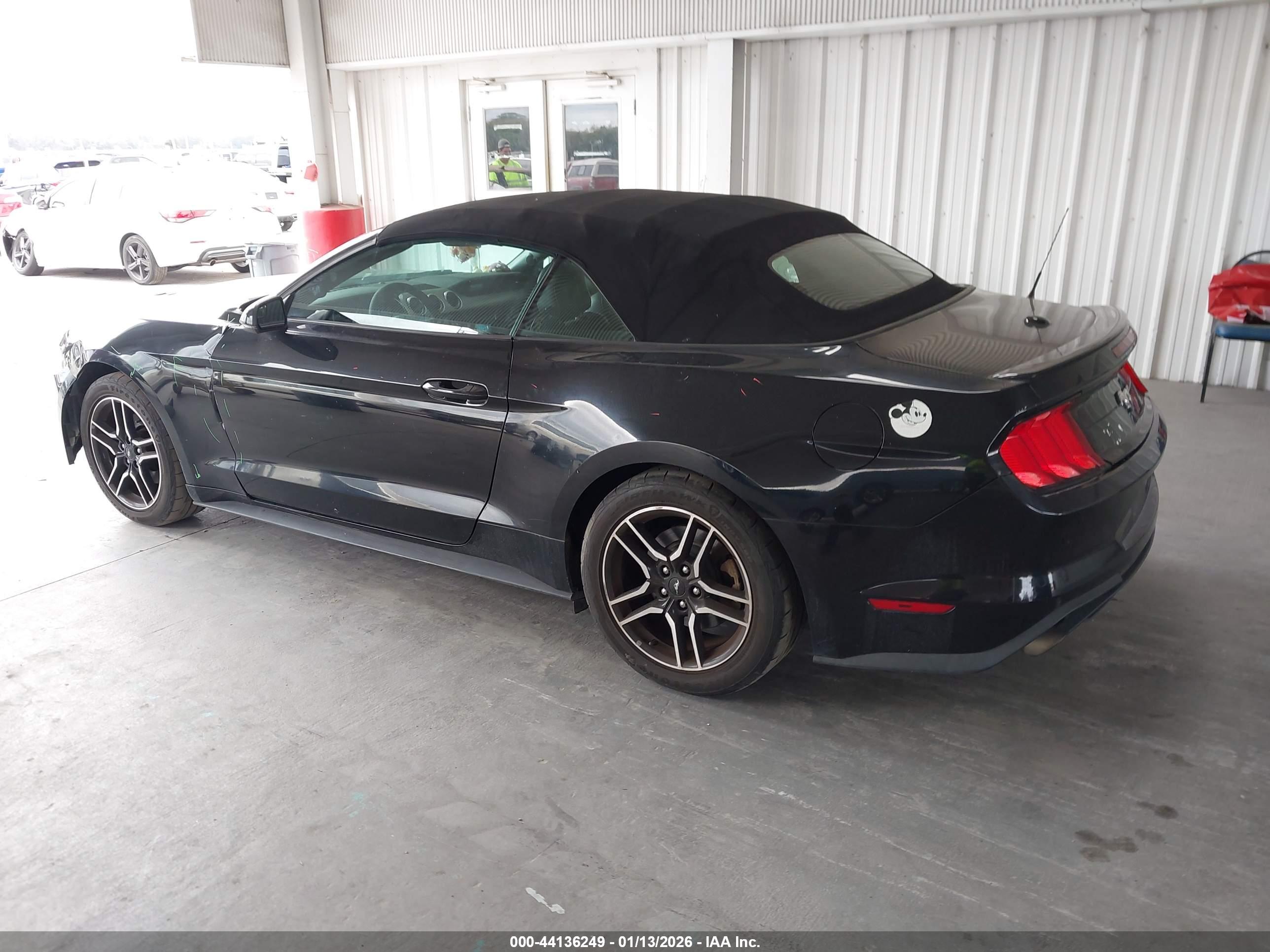 FORD MUSTANG image 3