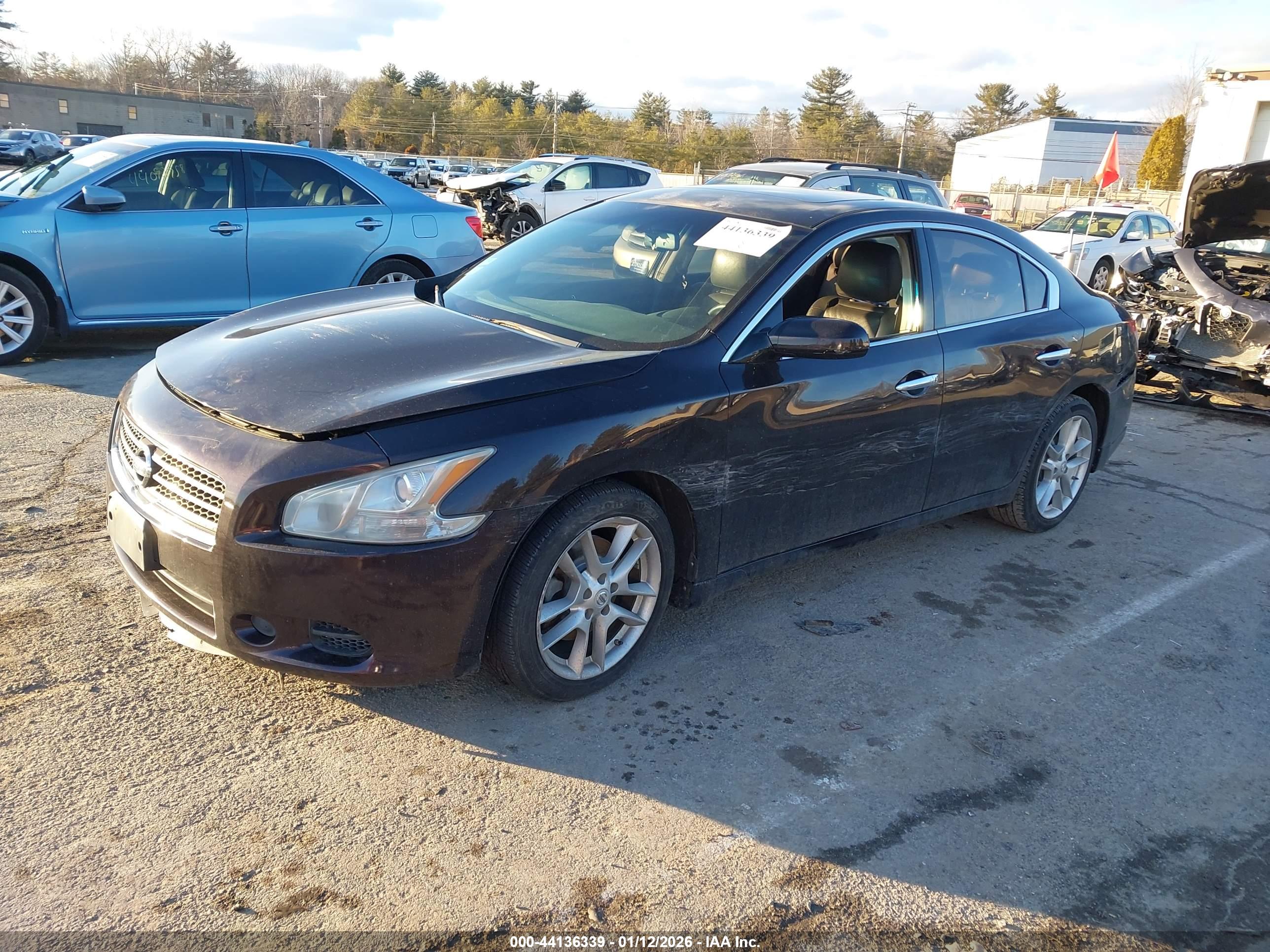 NISSAN MAXIMA image 2
