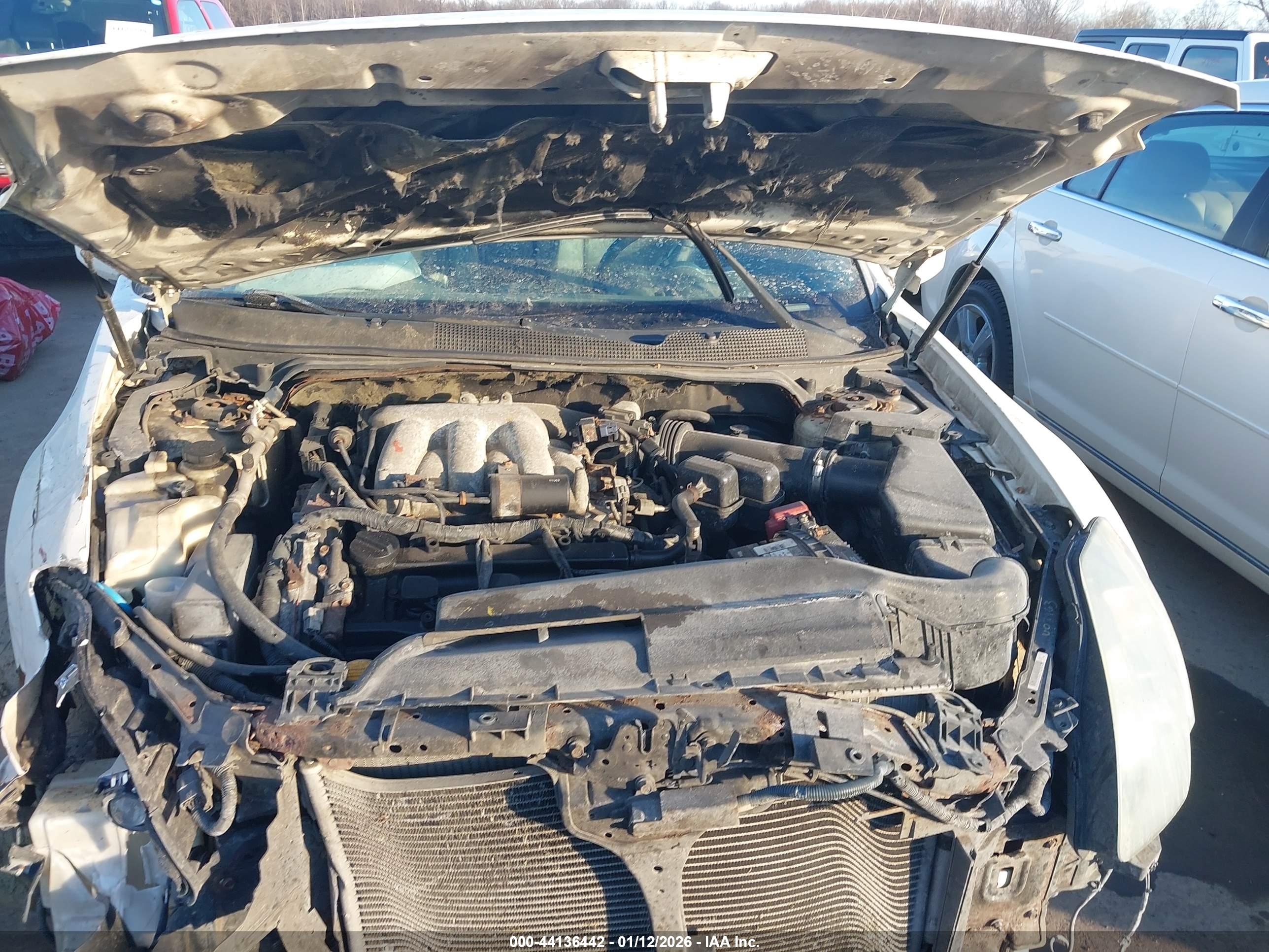 NISSAN MAXIMA image 10