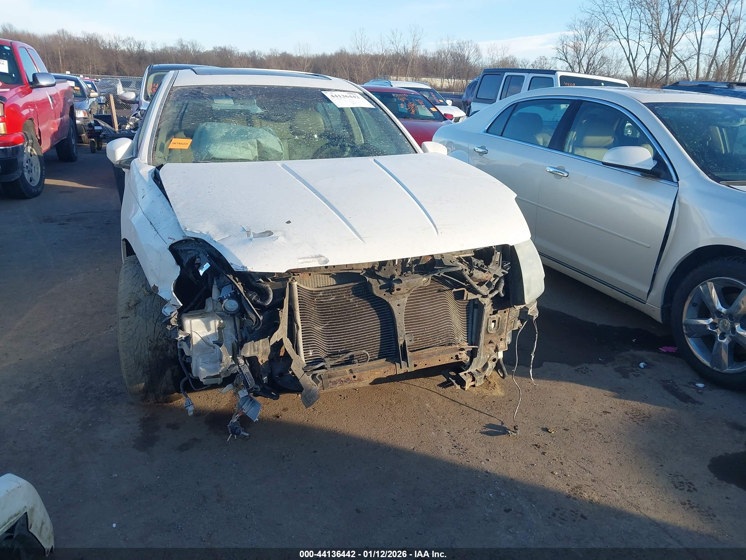 NISSAN MAXIMA image 6