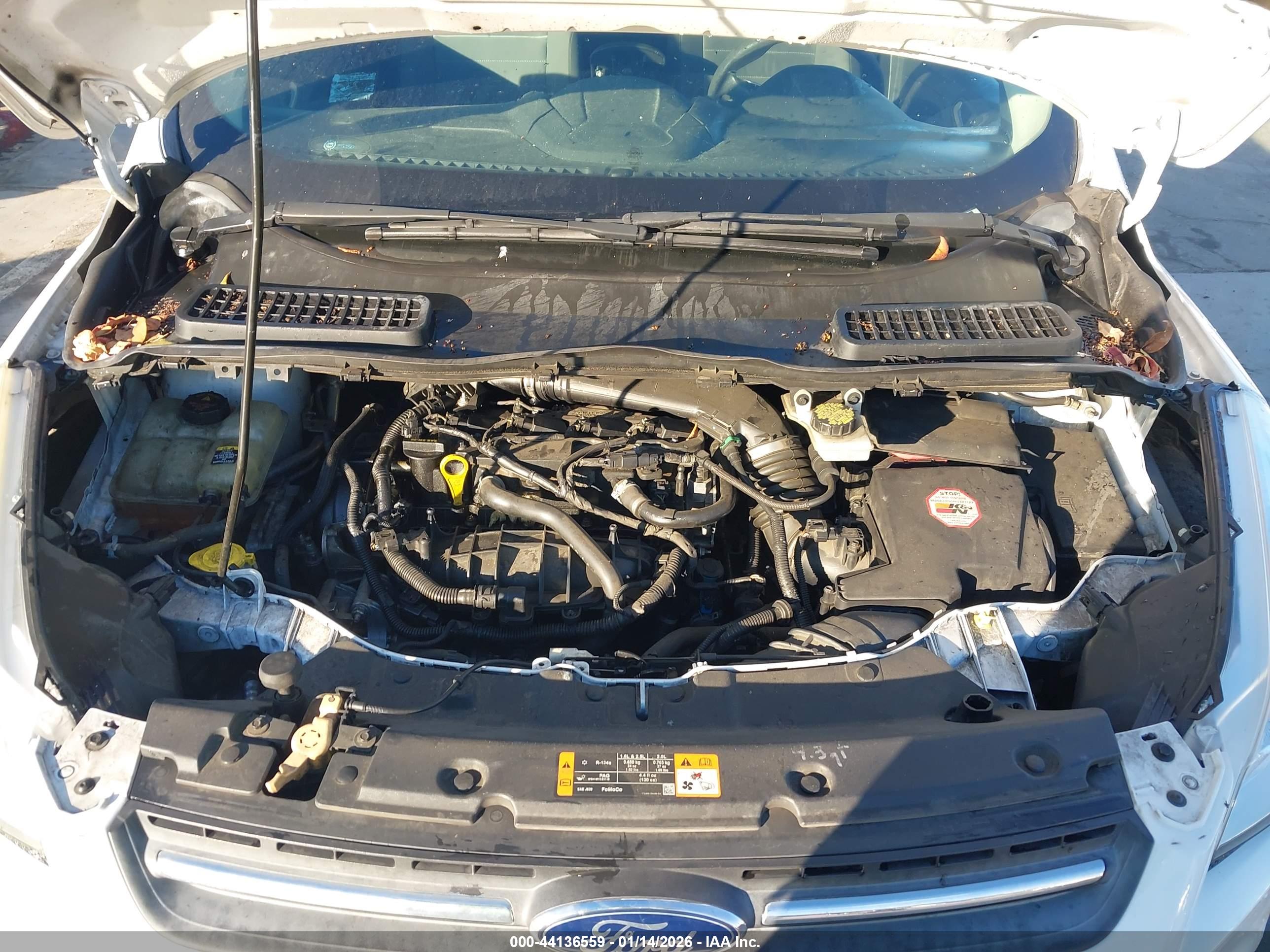 FORD ESCAPE image 10
