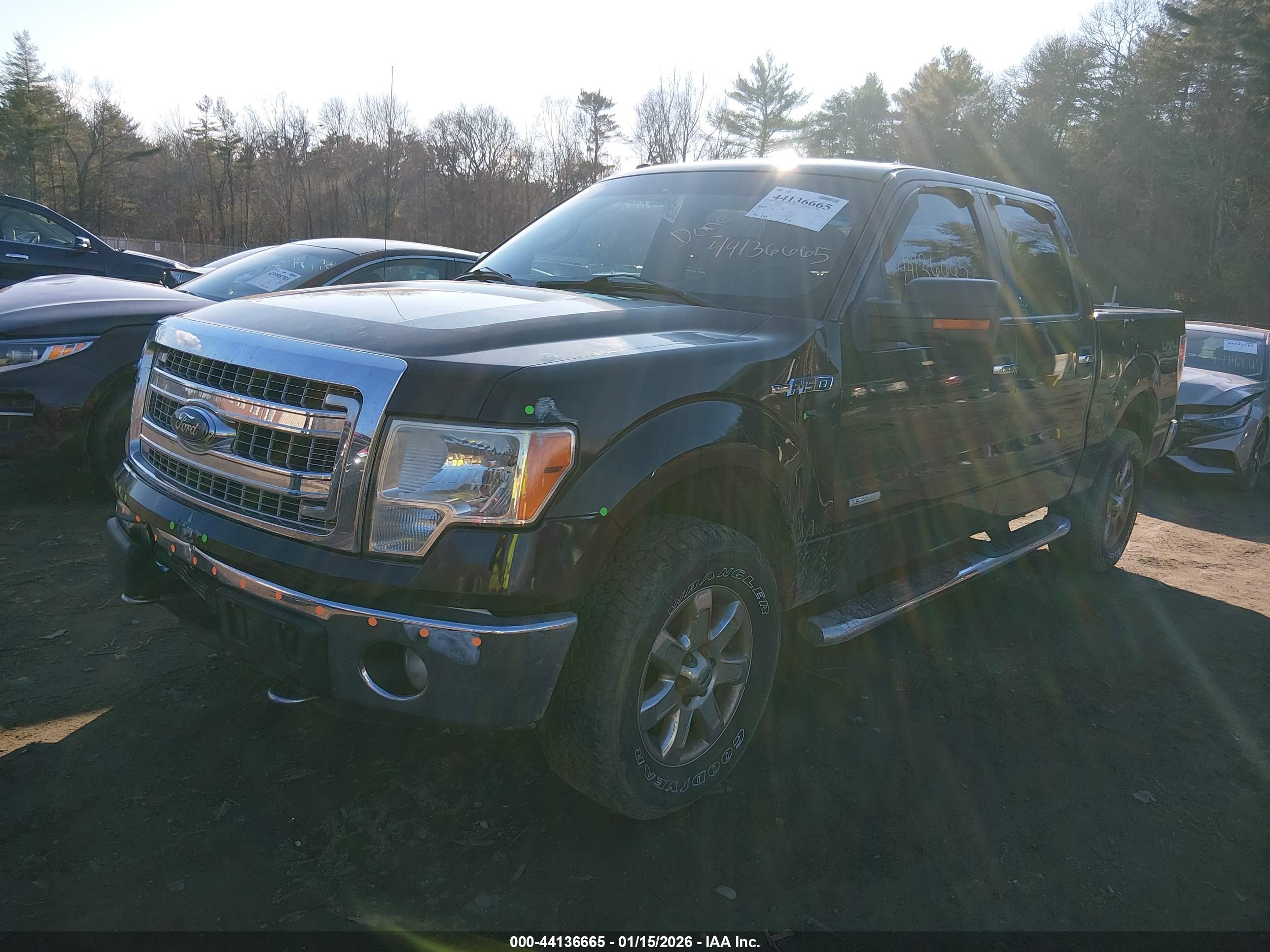 FORD F-150 image 2