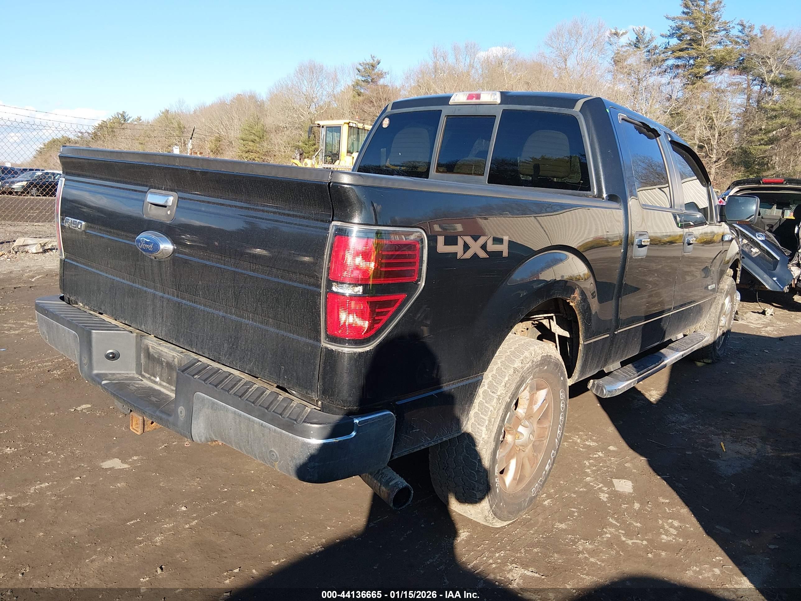 FORD F-150 image 4
