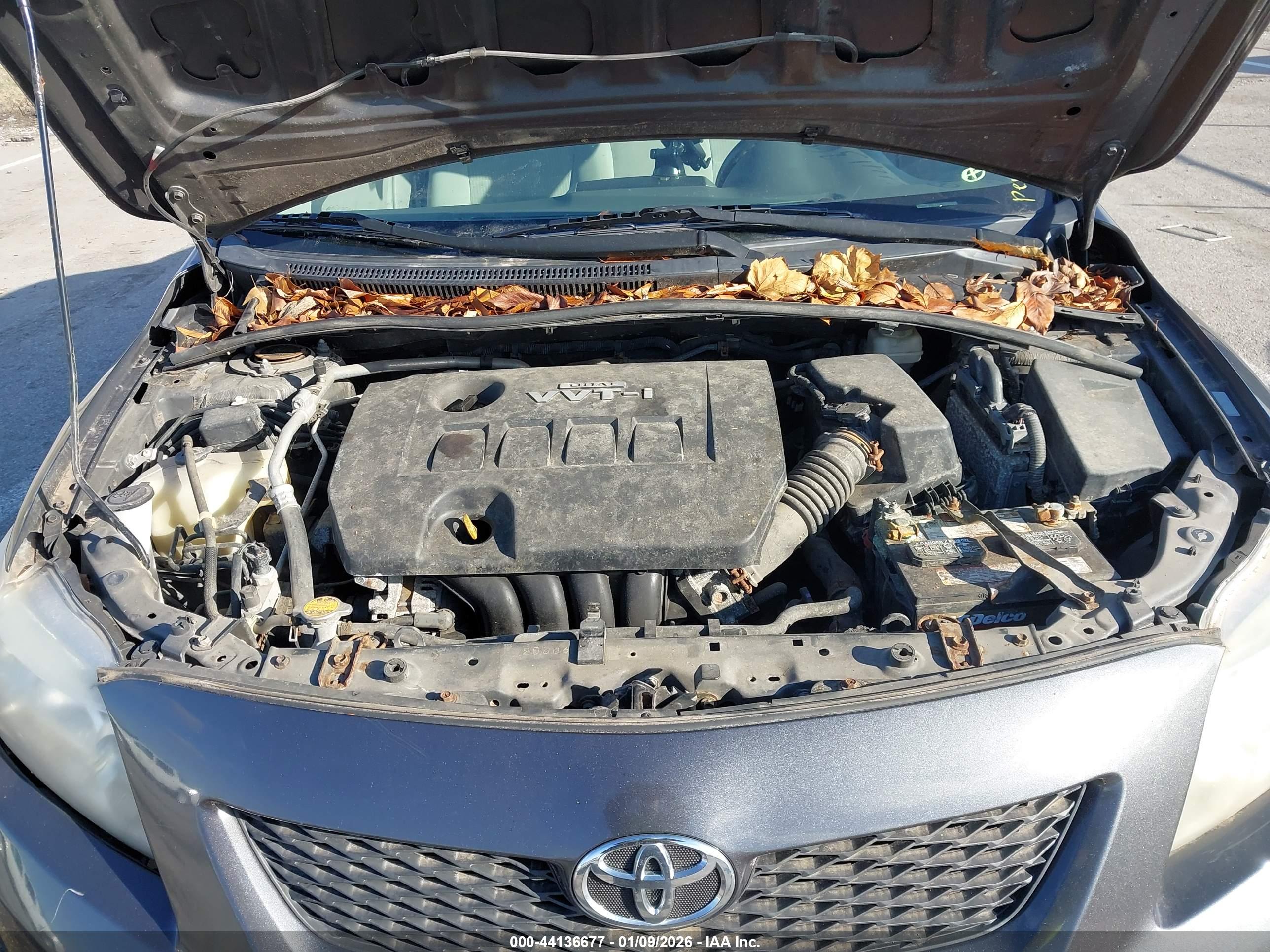 TOYOTA COROLLA image 10