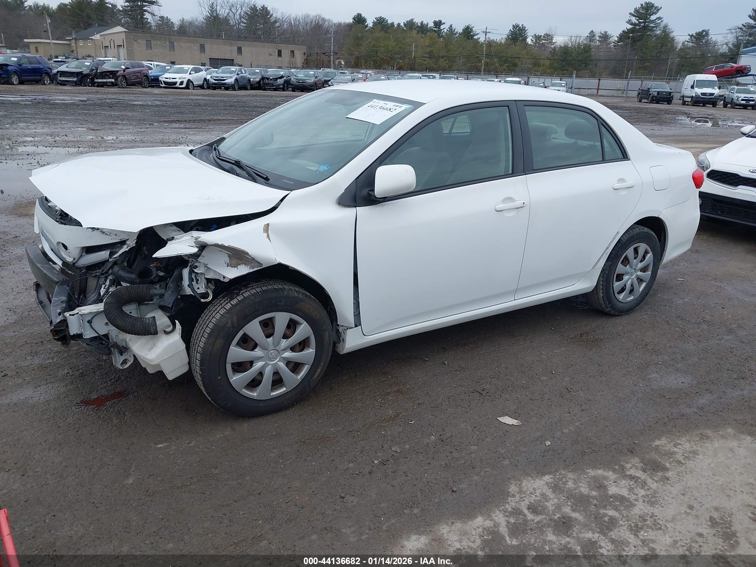 TOYOTA COROLLA image 2