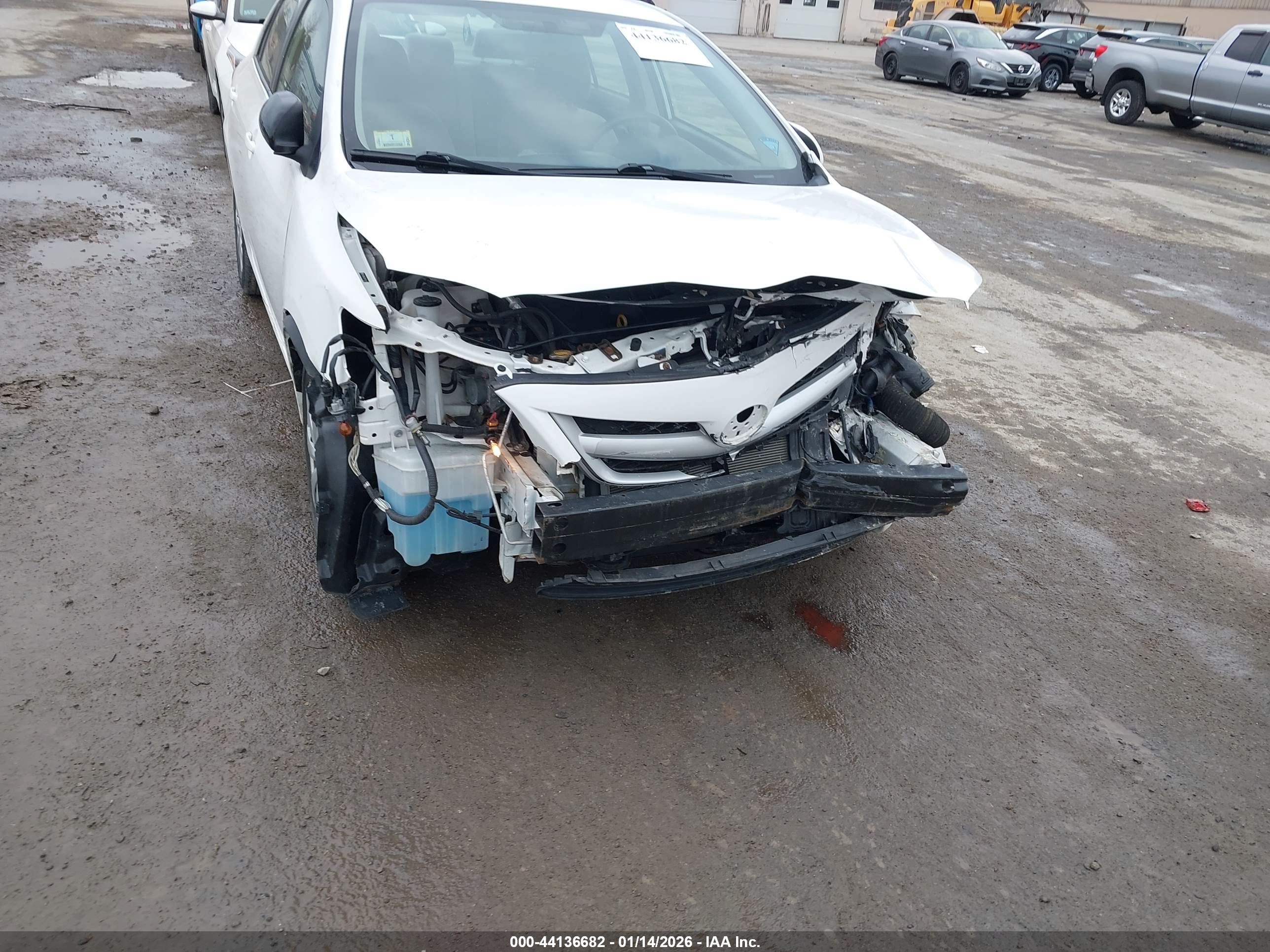TOYOTA COROLLA image 6