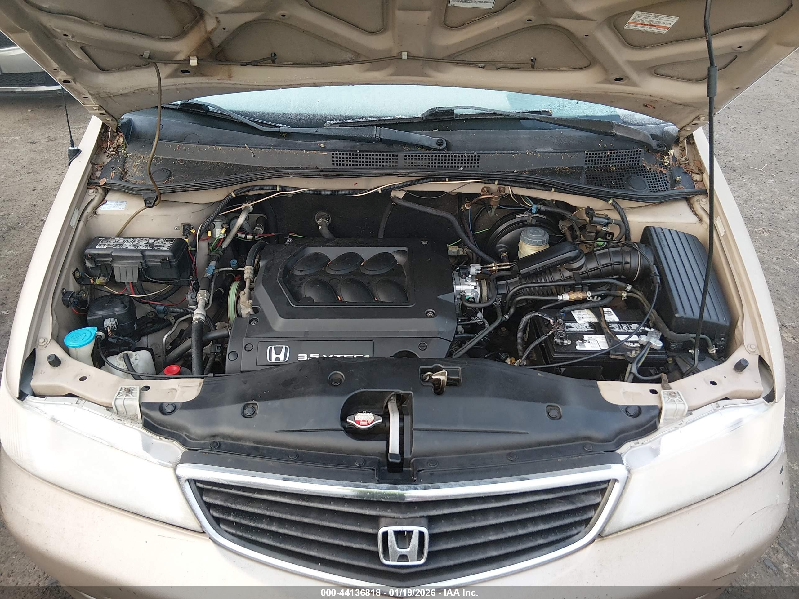HONDA ODYSSEY image 10