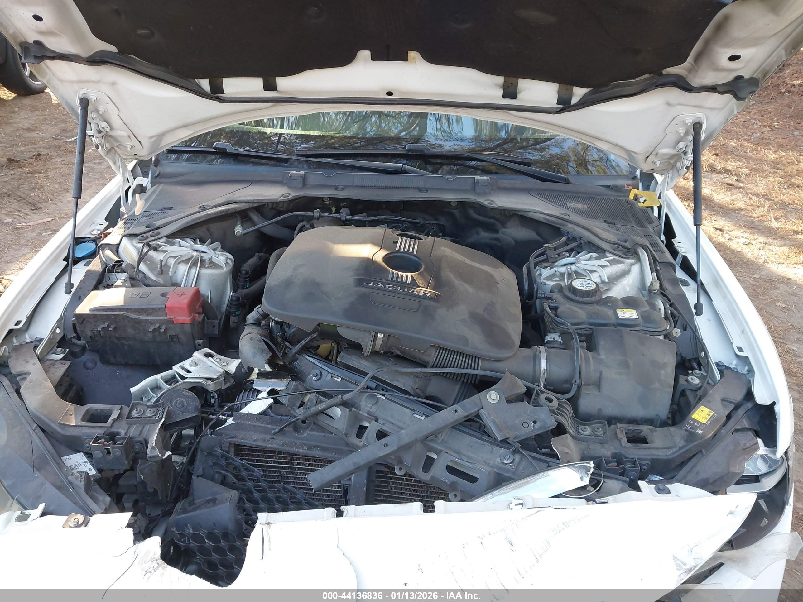 JAGUAR XE image 10