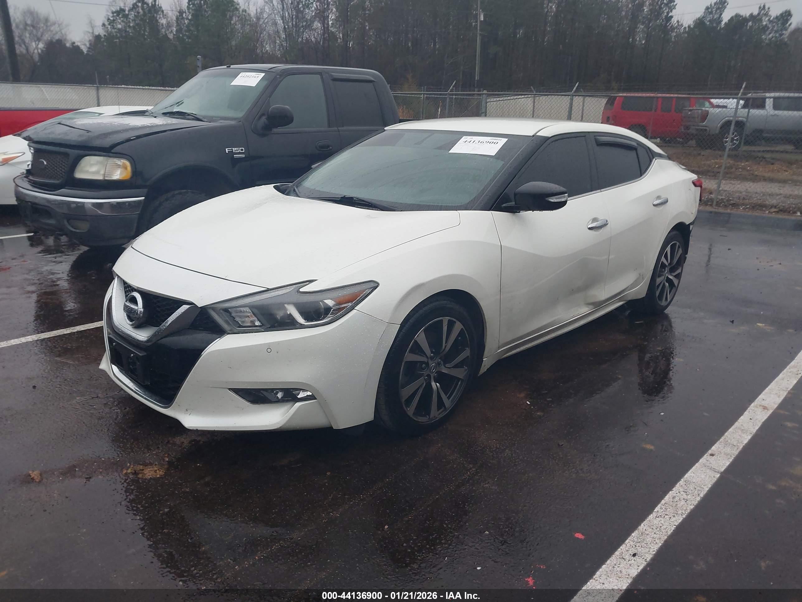 NISSAN MAXIMA image 2