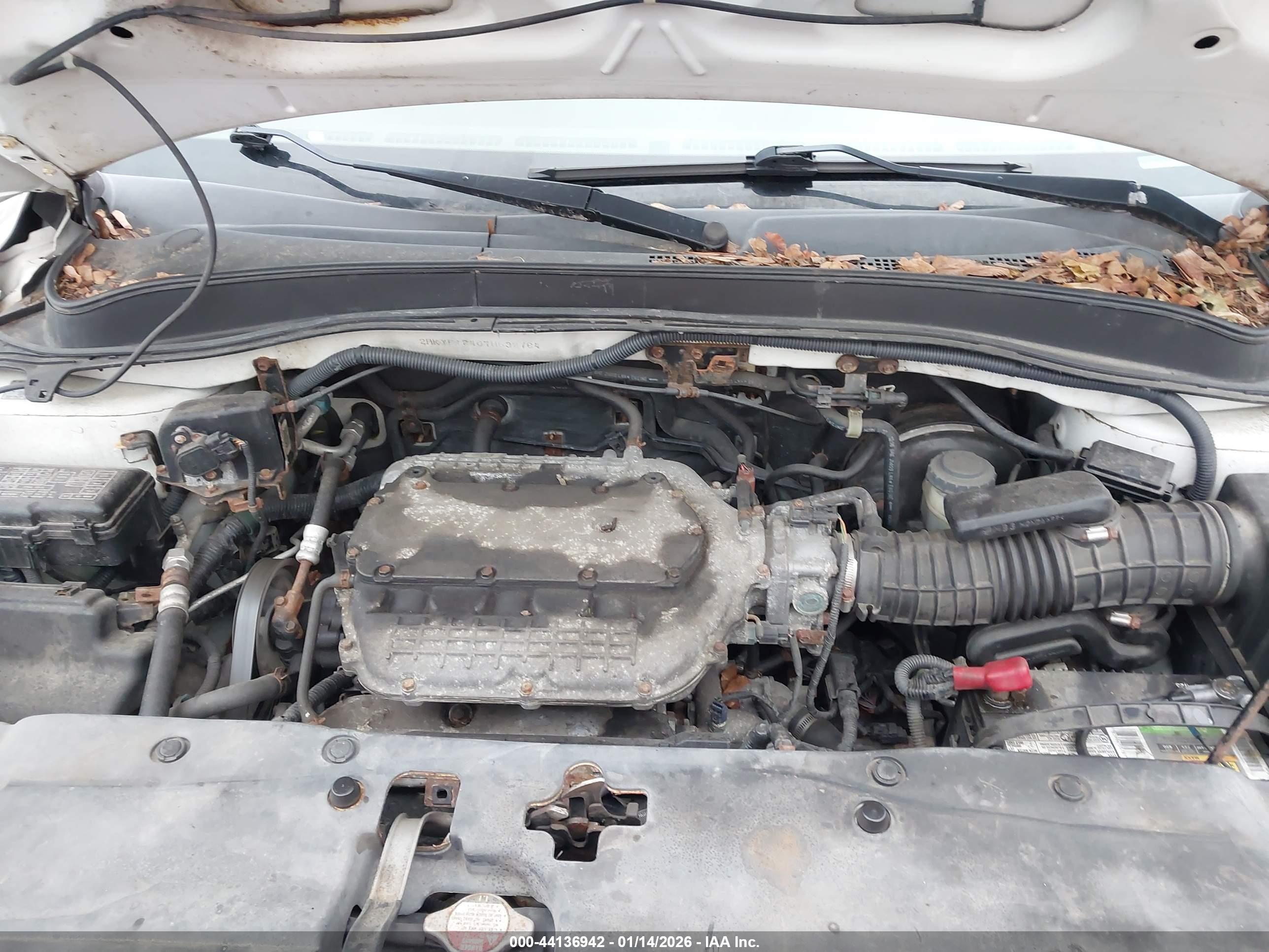 HONDA PILOT image 10